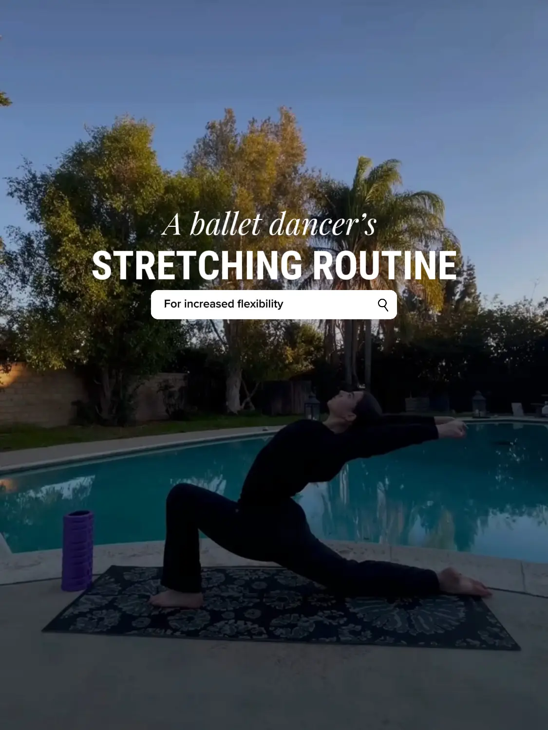 Flexibility and Turnout Bundle - Align Fitness By Allie