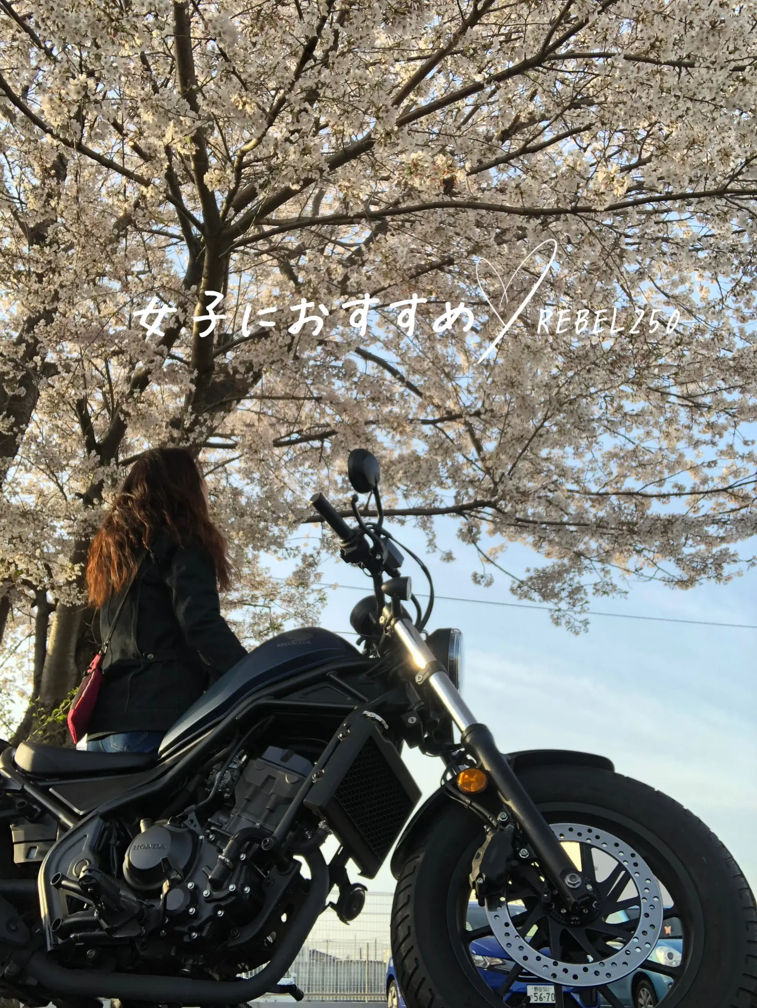 Recommended bike for women REBEL 250 Gallery posted by noayuri