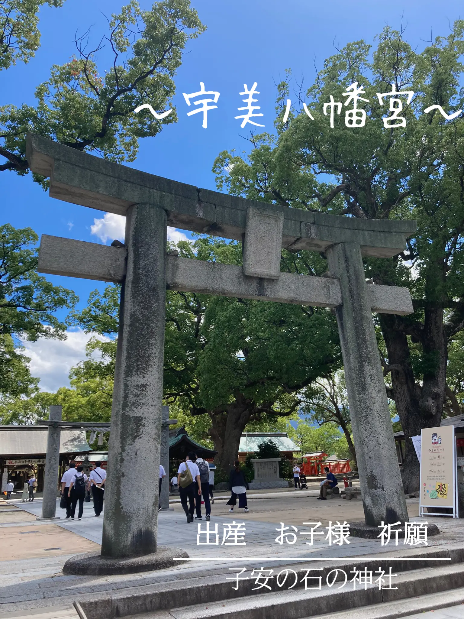 ⛩宇美八幡宮✨安産祈願✨子供祈願✨&ランチは「marumi cafe cafe