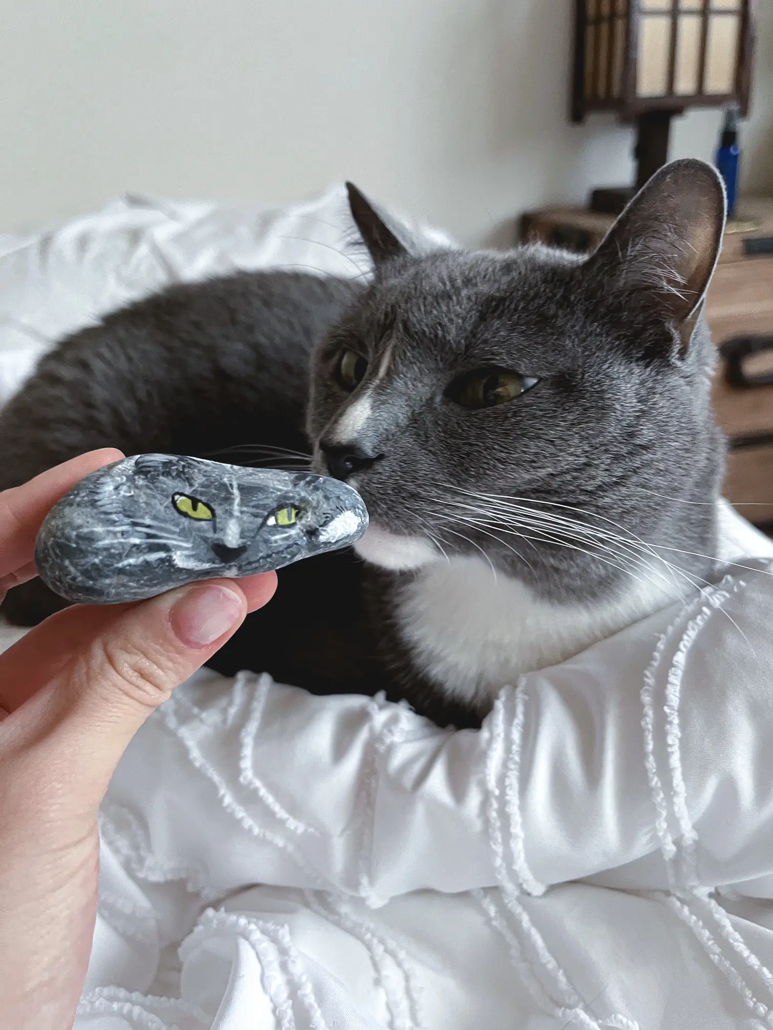 白ラインの石に寧子。 | I NO IRO / イノイロが投稿したフォトブック | Lemon8