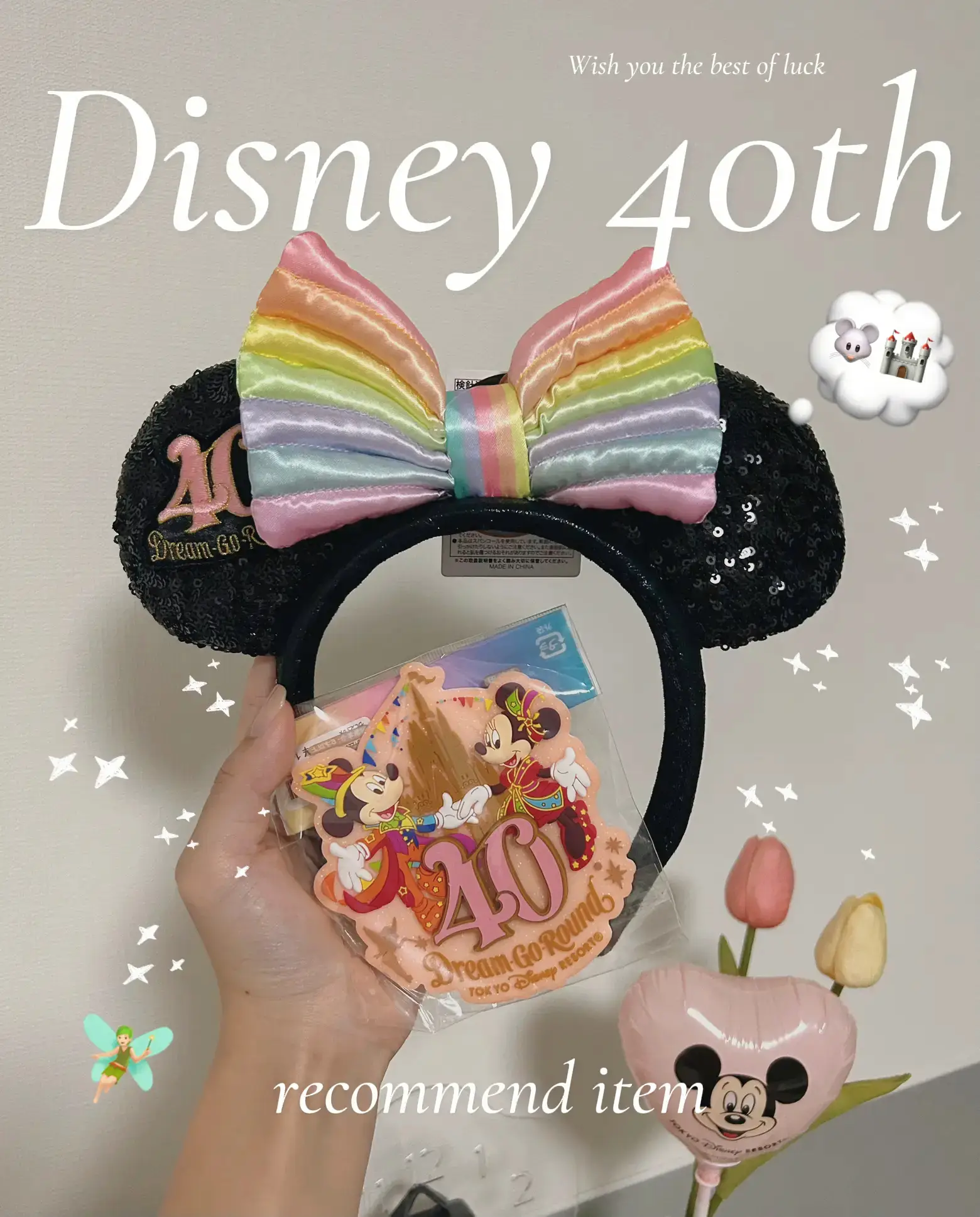 Disney 40th Anniversary Goods🌈🐭🏰✨ | Gallery posted by Plum