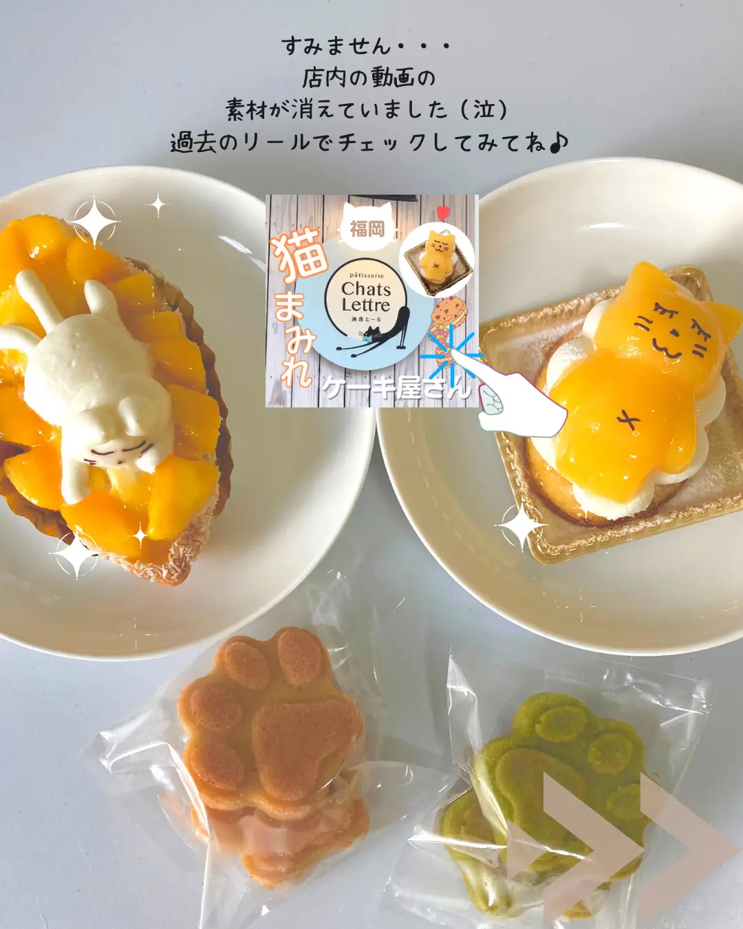 福岡スイーツ】猫好き必須猫ケーキ💓 | 【モノコ】インスタみてね🐈が