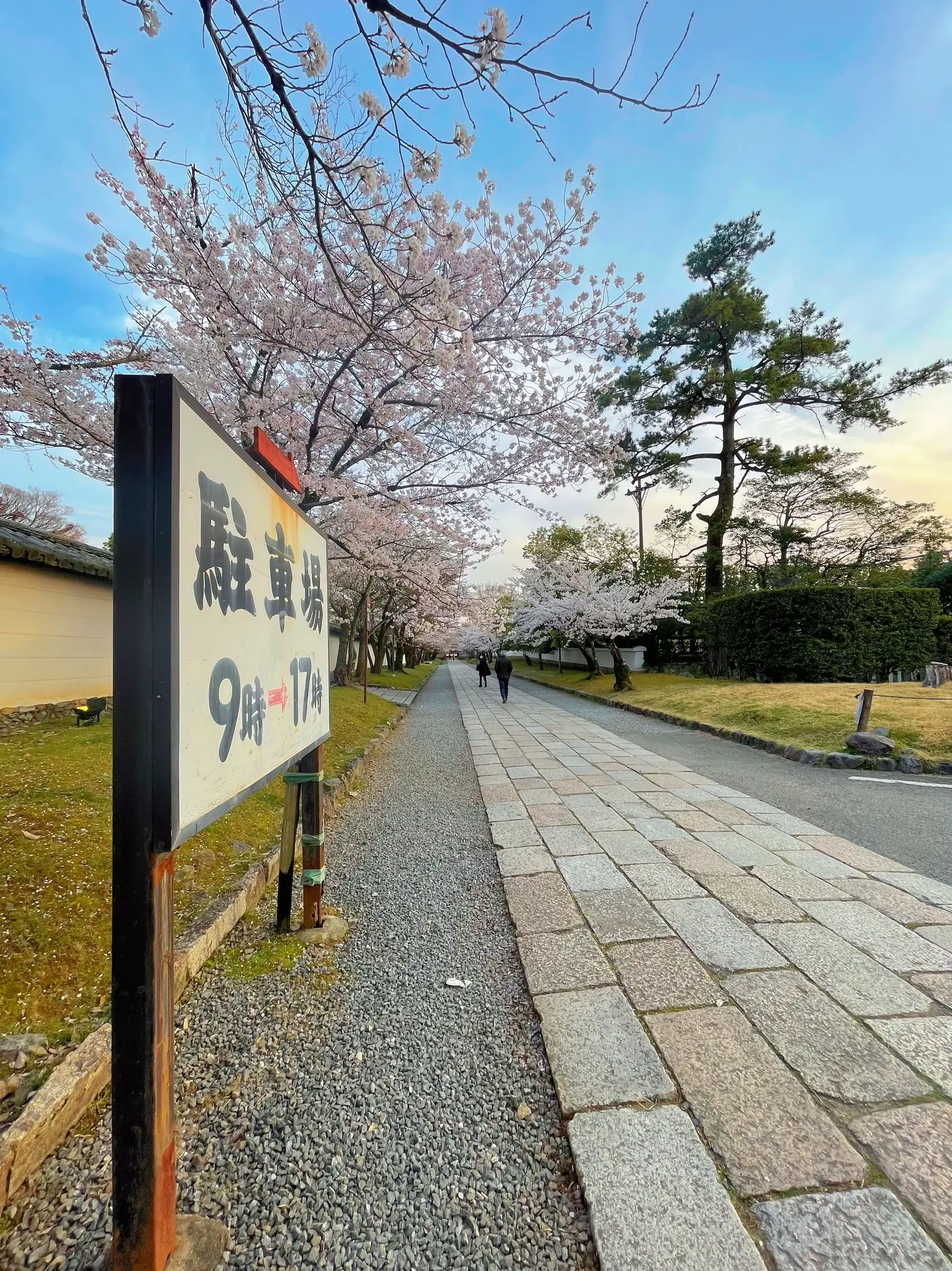 Spring time at Daigo Temple. | dhr016が投稿したフォトブック | Lemon8