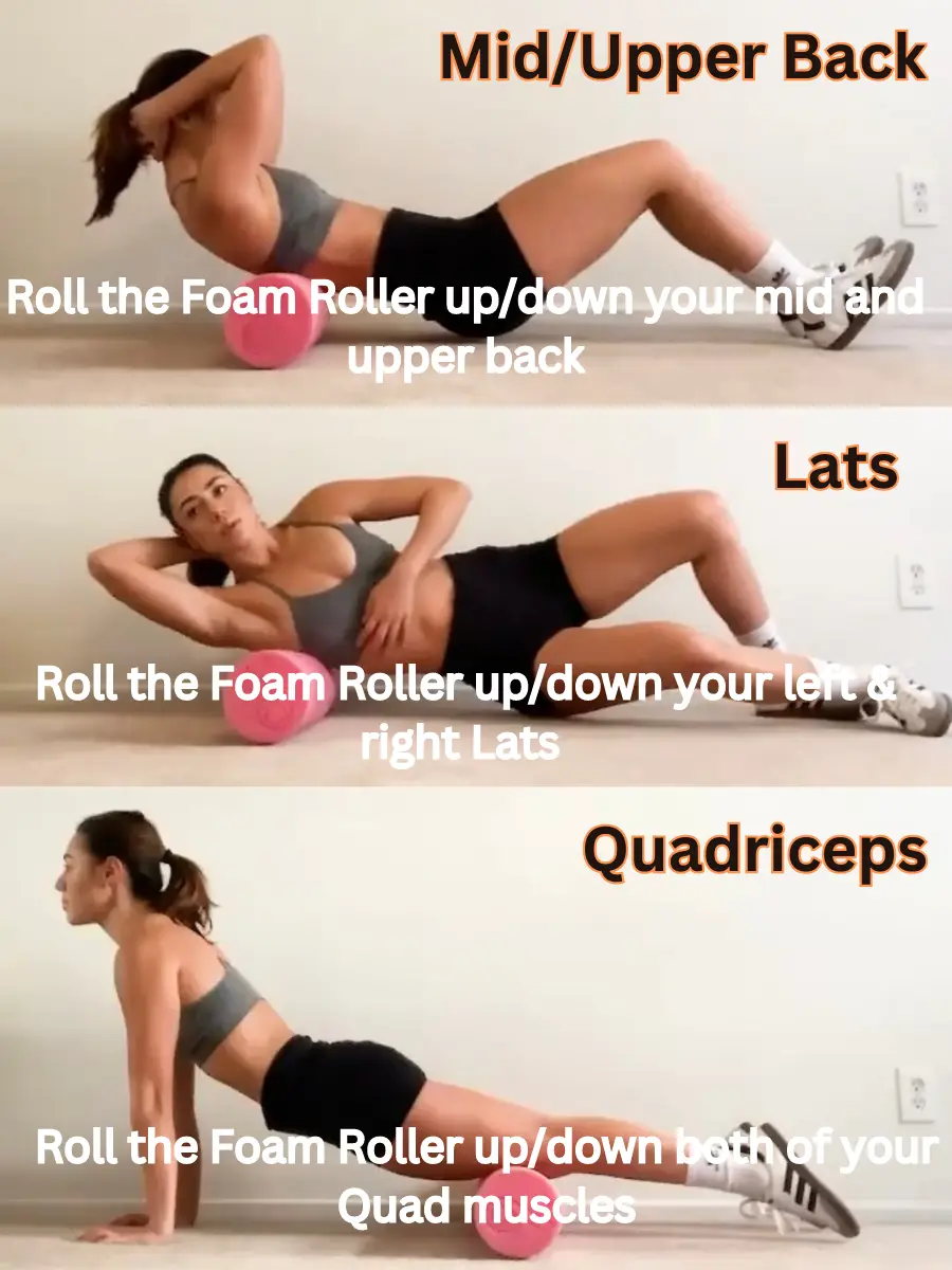 Lat Foam Roll - Muscle & Fitness