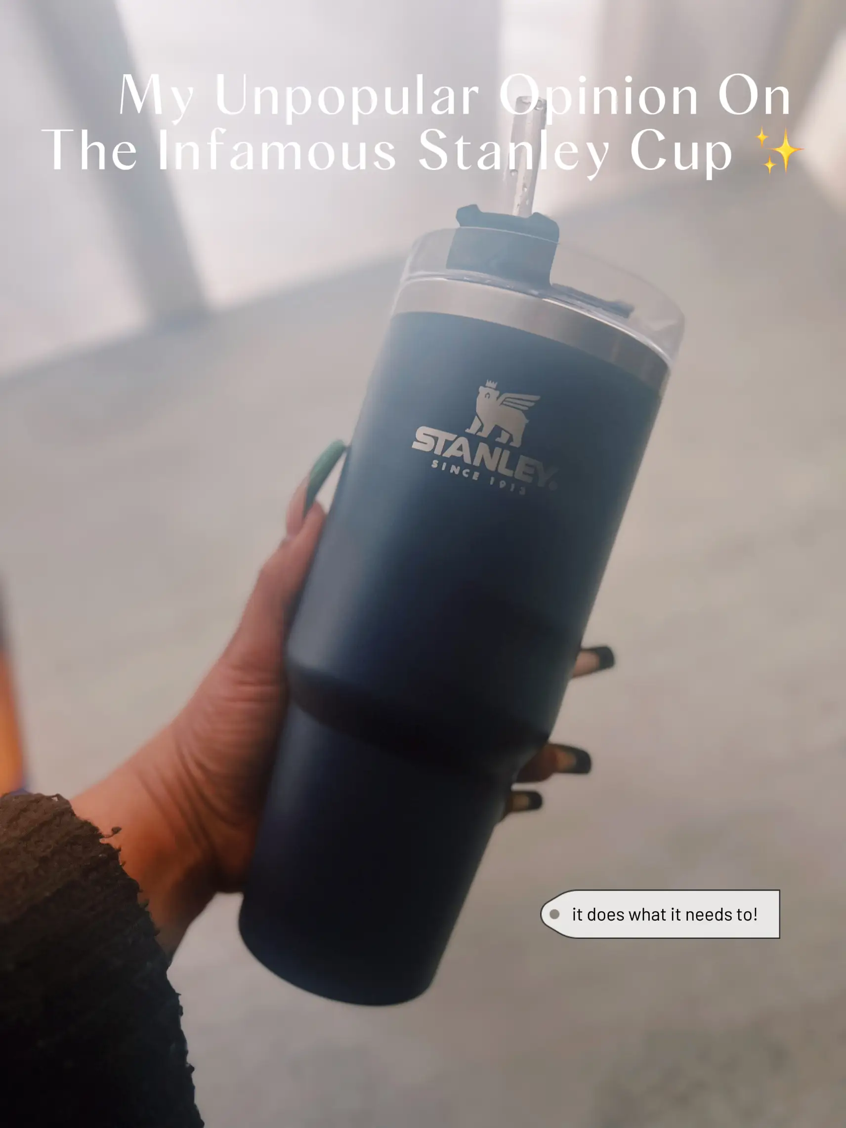 Literally Obsessed With My New Stanley Cups?? #stanleycup, 44% OFF