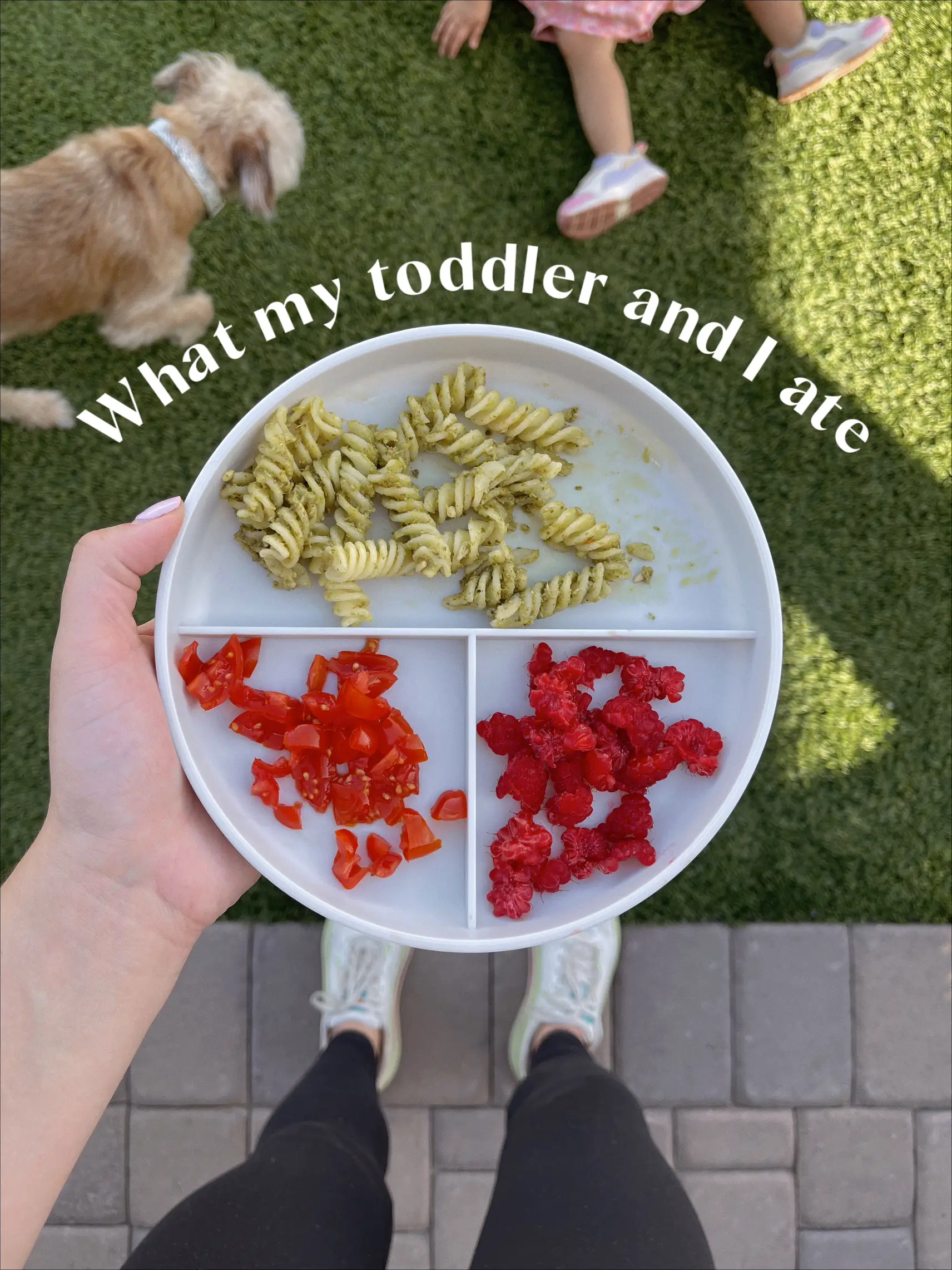 Easy toddler meal ideas Gallery posted by Bree Jenko Lemon8