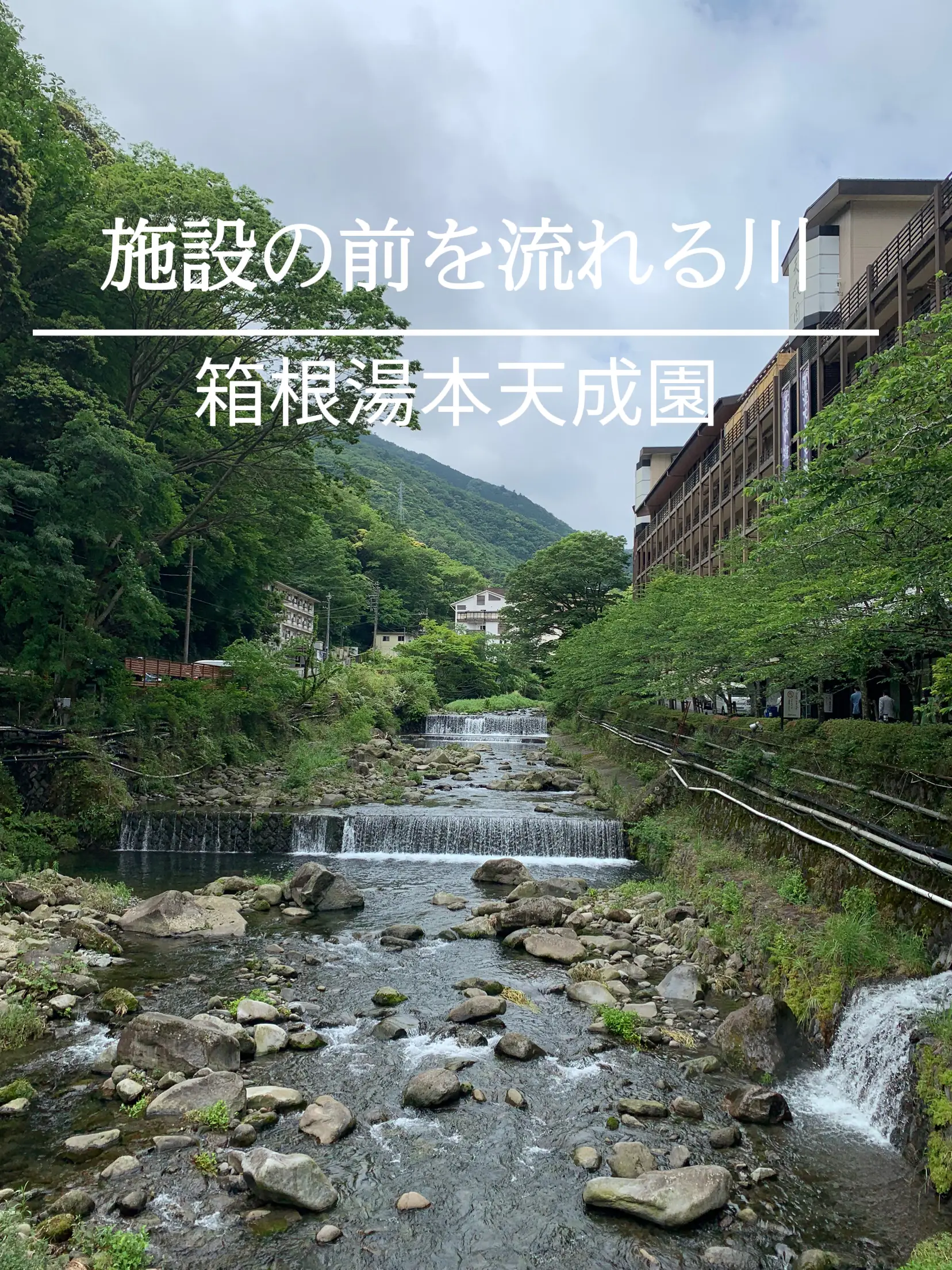 日帰り温泉♨️ 週末を利用して、箱根湯本天成園の日帰り温泉へ