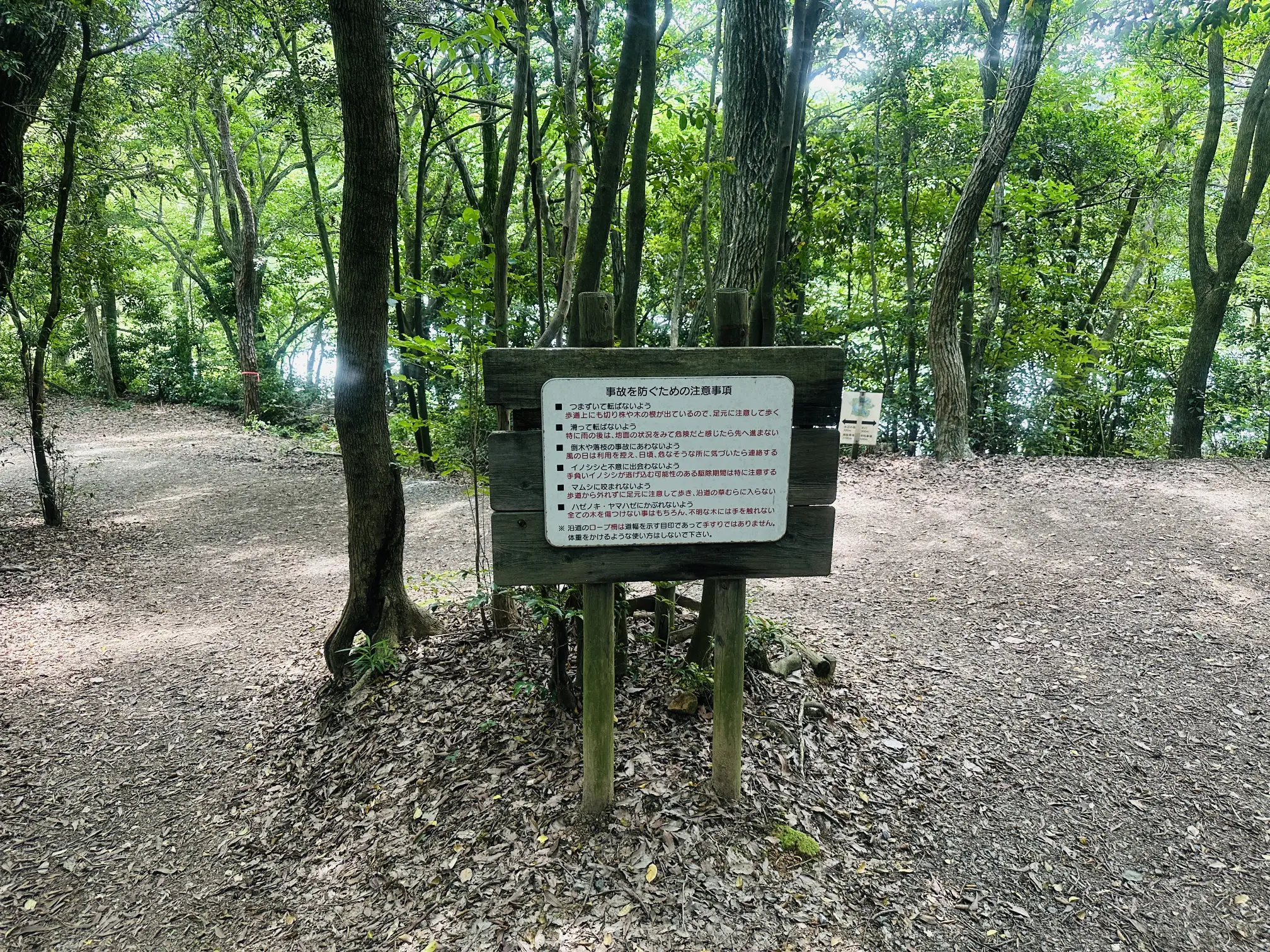 水彩画ジクレー版画「篠栗九大の森」（糟屋郡）