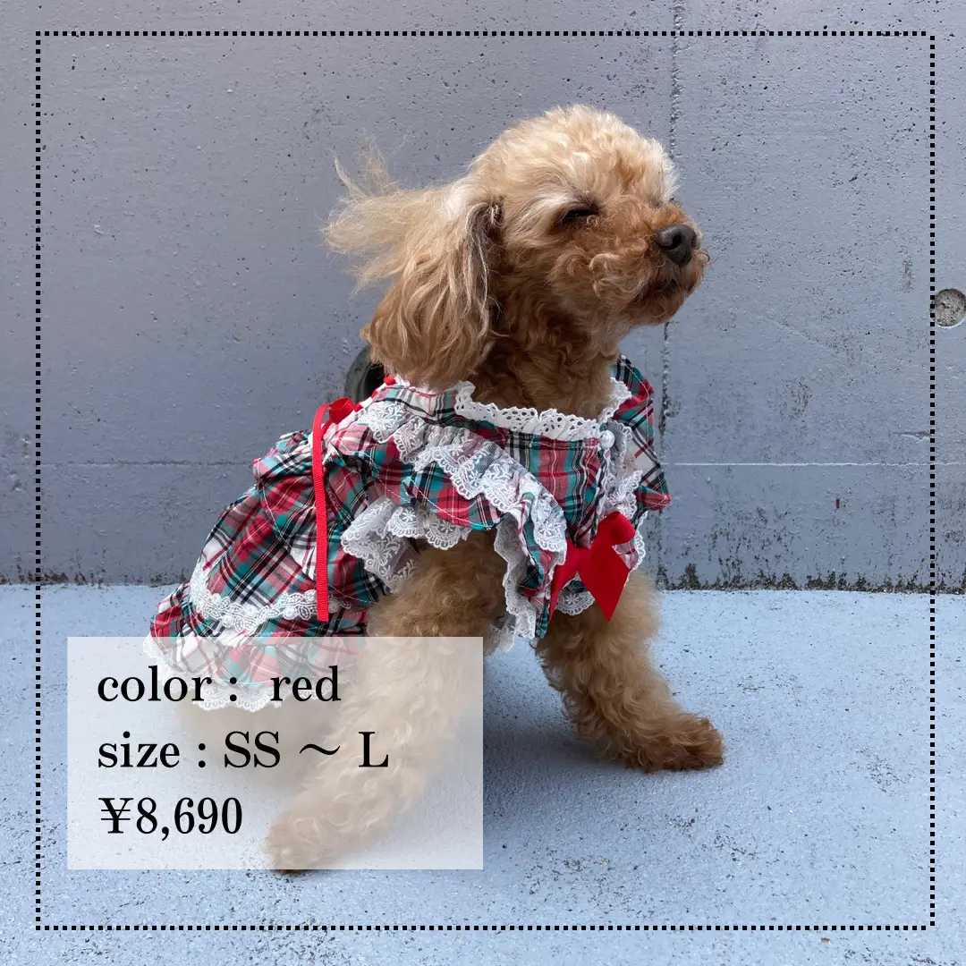 みんなの目を釘付けにする犬服🐶 | ジャングルペット/犬服専門店が投稿したフォトブック | Lemon8