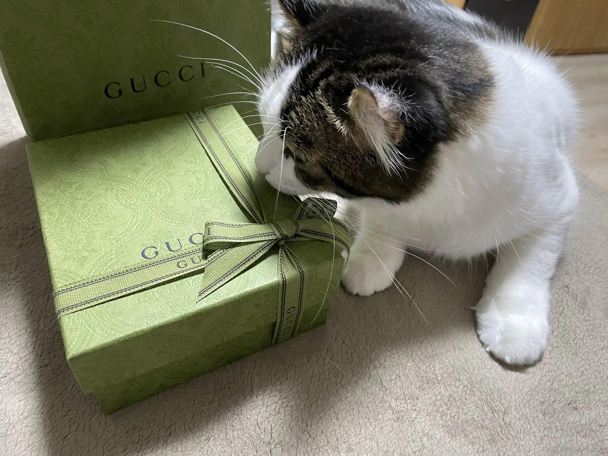 最新?Gucci財布買いました? | れいが投稿したフォトブック | Lemon8