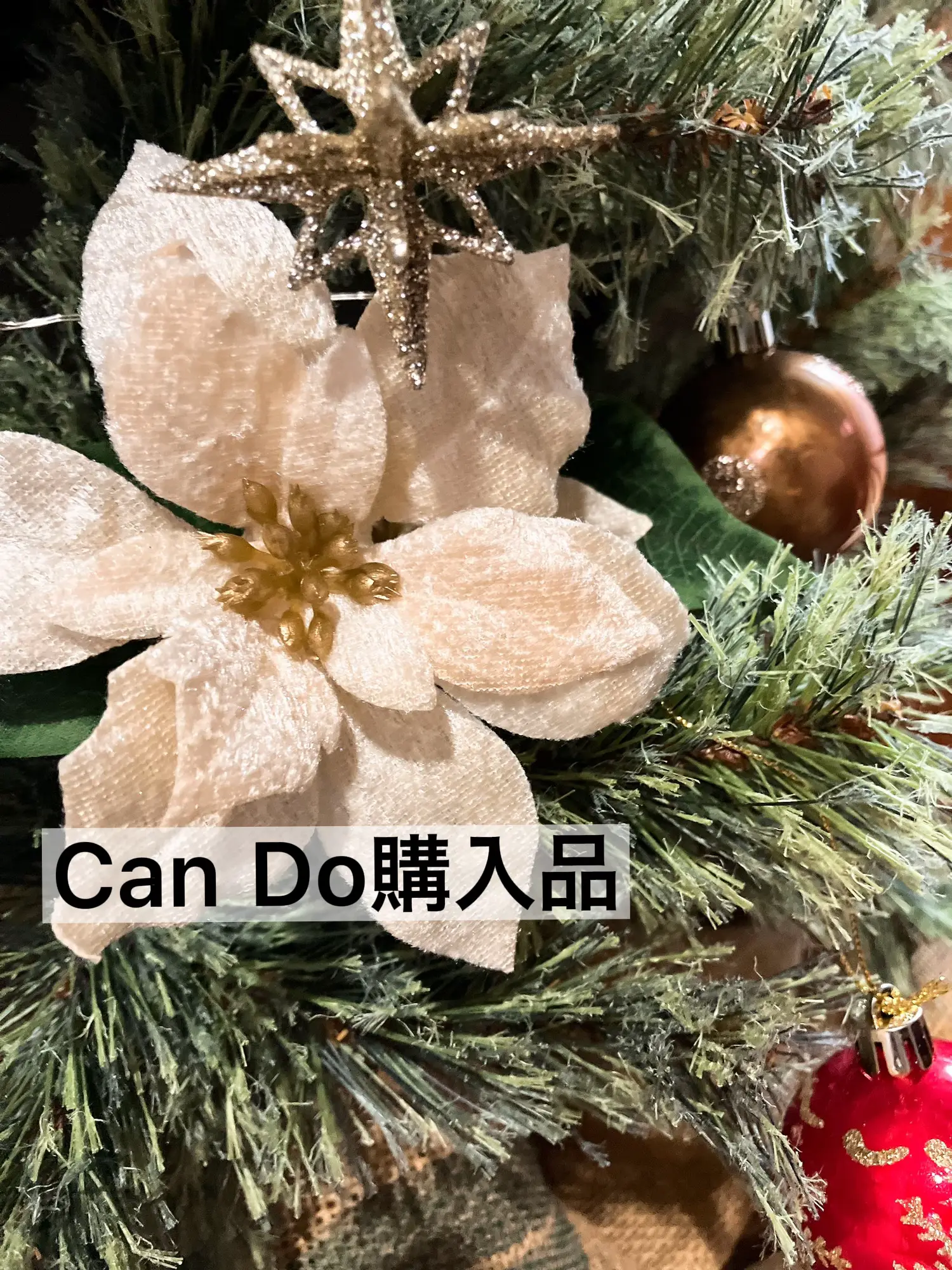 キャンドゥ購入品 クリスマス | mami7385が投稿したフォトブック | Lemon8