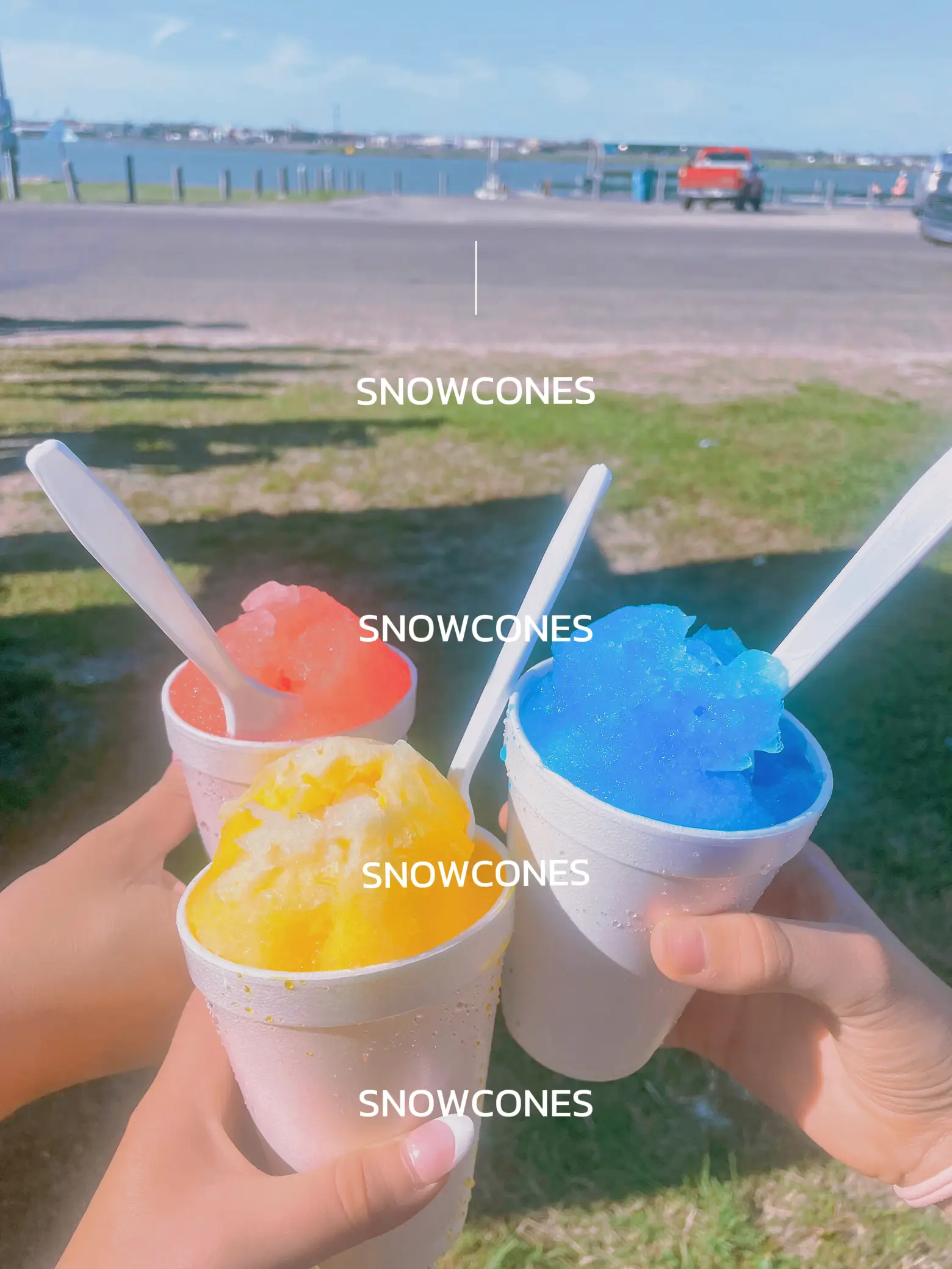 20 top Best Snow Cones in Seaside ideas in 2024