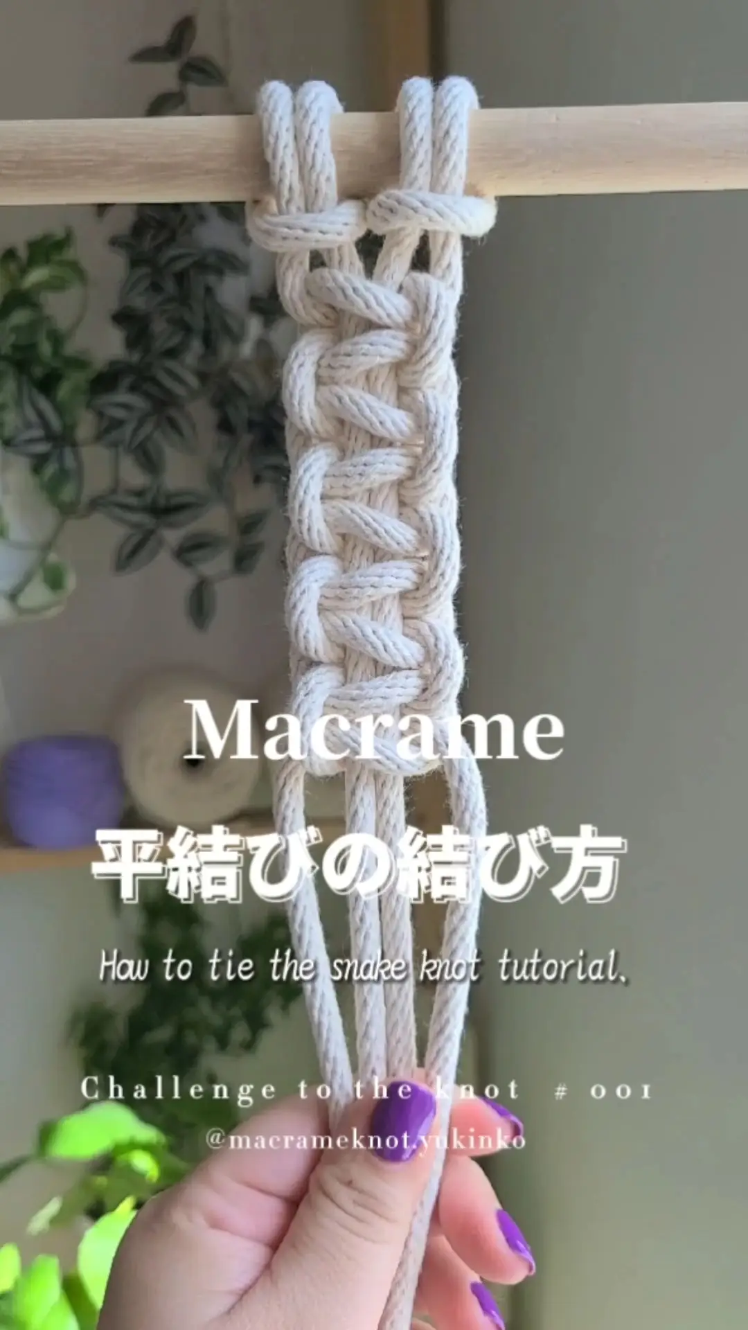 Basics of Knotting] 🪢 Macrame flat knot! Short Ver.🌱, Video published by  マクラメ🪢｜YUKINKO