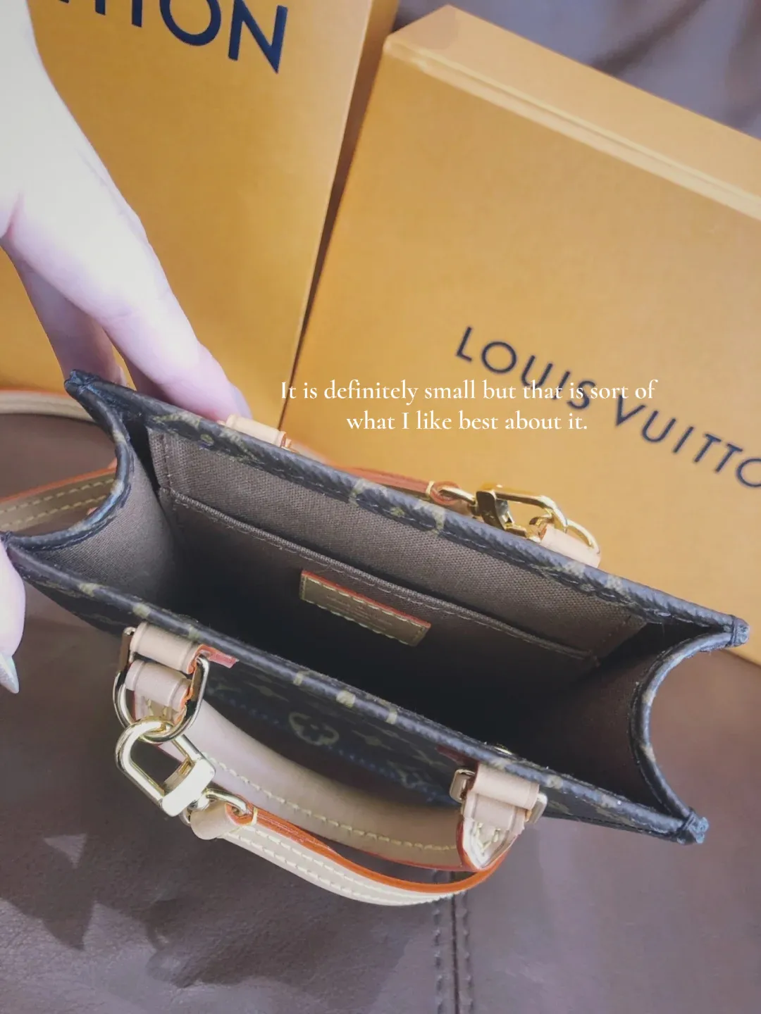 Louis Vuitton Petit Sac Plat Bag Review 👜