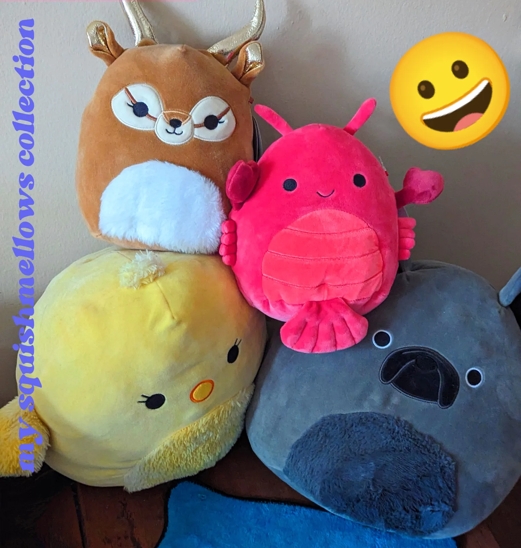 Squishmallows Haul!, Gallery posted by Elley