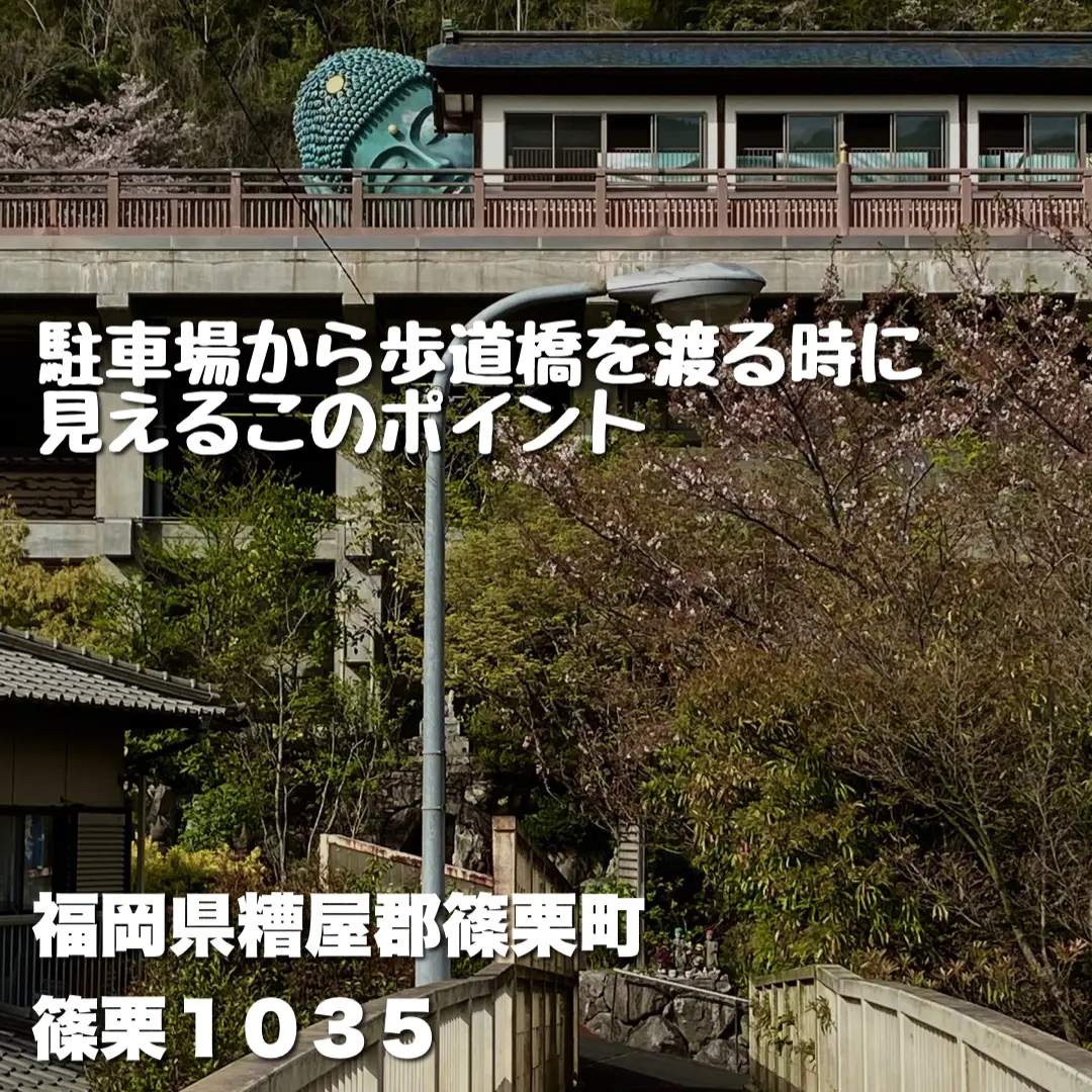 福岡】宝くじが当たる！？金運スポット世界一横たわる仏像 南蔵院 | 人生楽しむ旅とヒント長谷川陽子が投稿したフォトブック | Lemon8