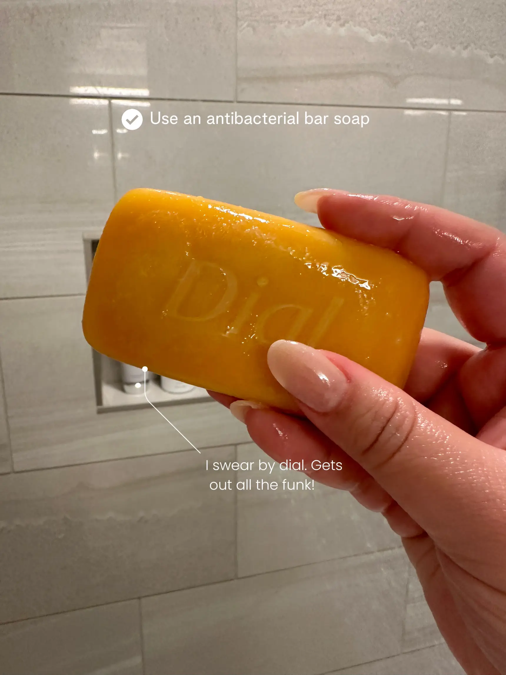 Dog ate shop dial soap