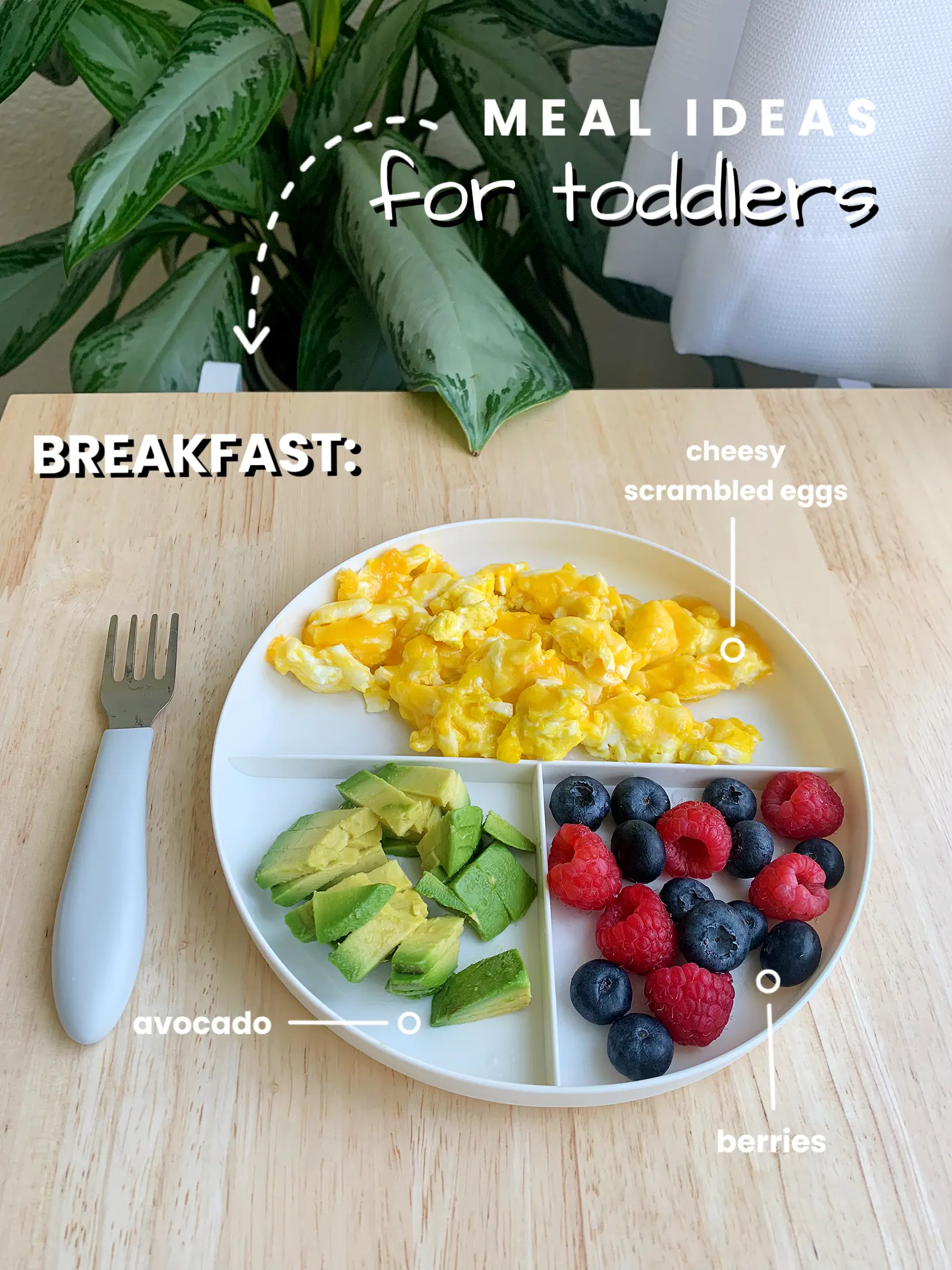 Toddler lunch & dinner plate ideas to incorporate into your little ones'  mealtime! 💡🎉 Keep scrolling to see what's on each plate! You can…