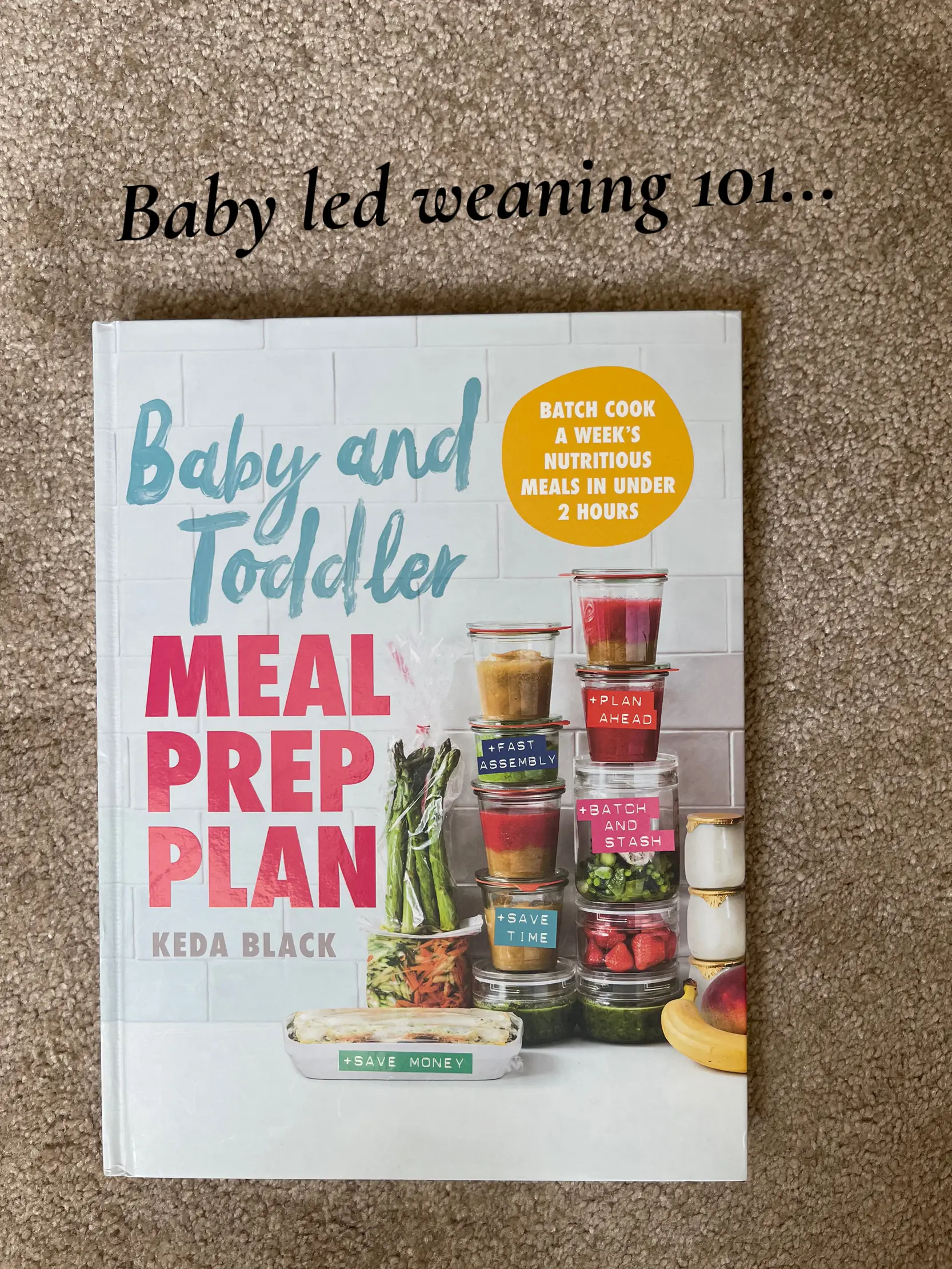 Baby and Toddler Meal Prep Plan: Batch Cook a Week's Nutritious Meals in  Under 2 Hours