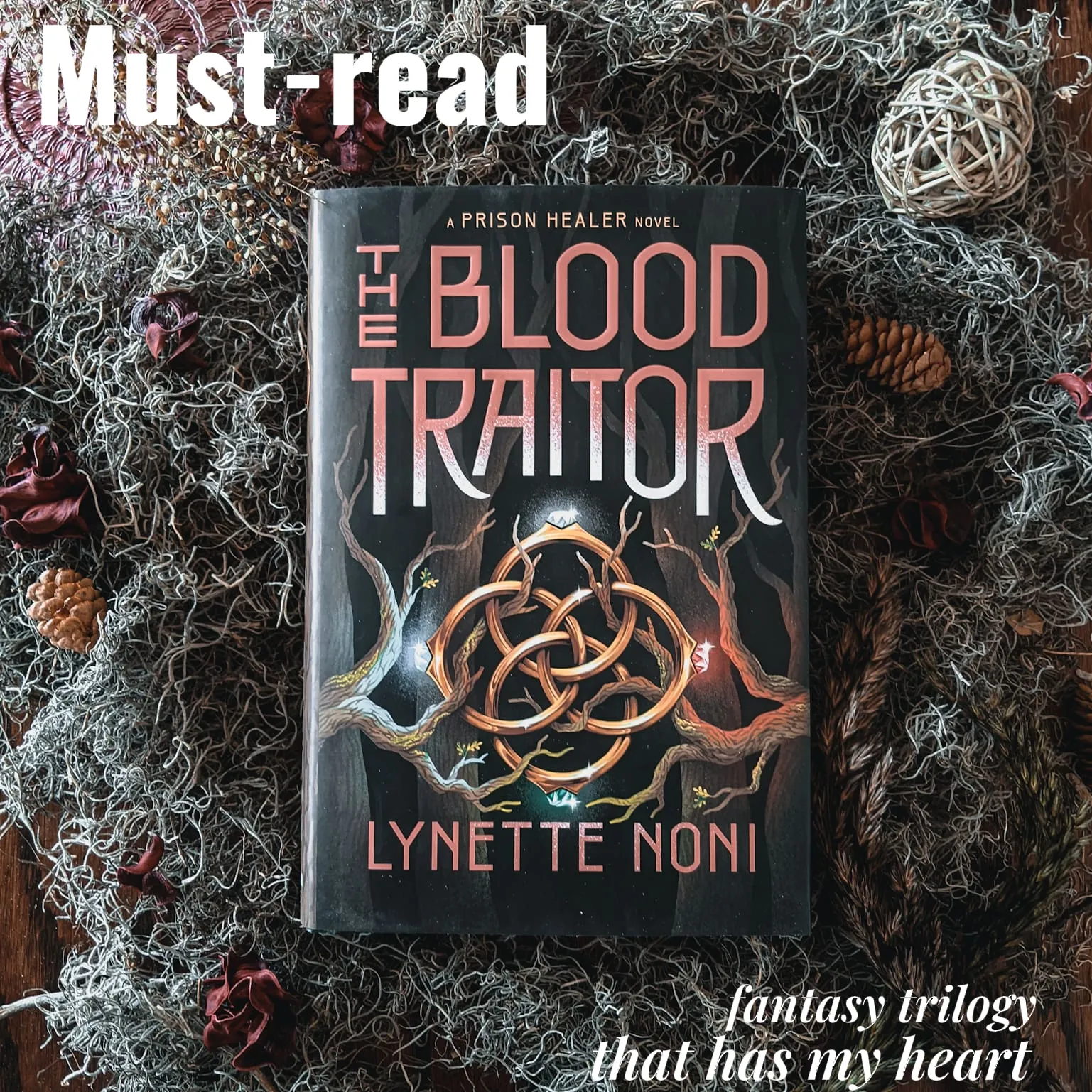 The Blood Traitor - (the Prison Healer) By Lynette Noni : Target