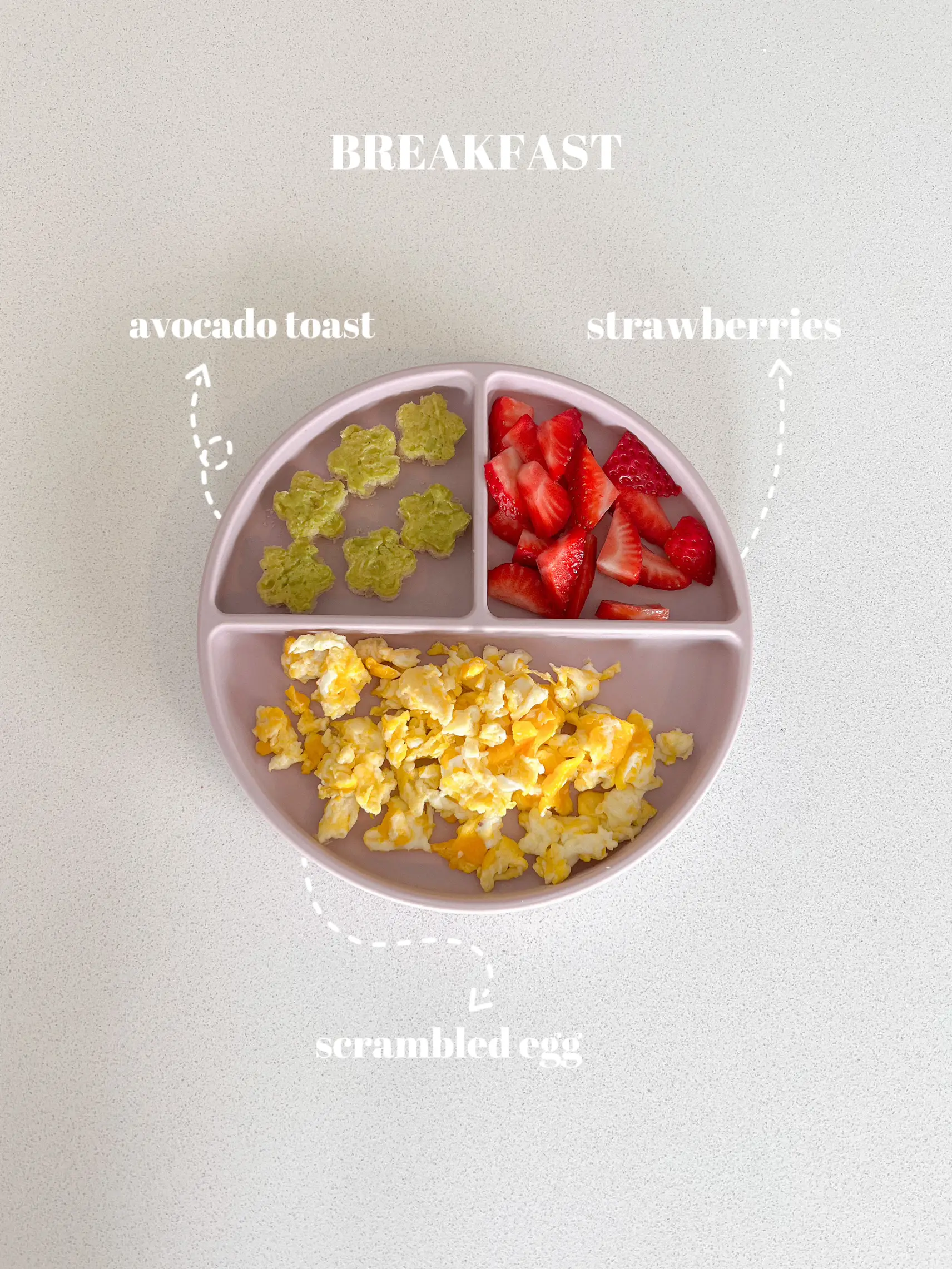 what-my-14-month-old-eats-in-a-day-gallery-posted-by-haleyhubley