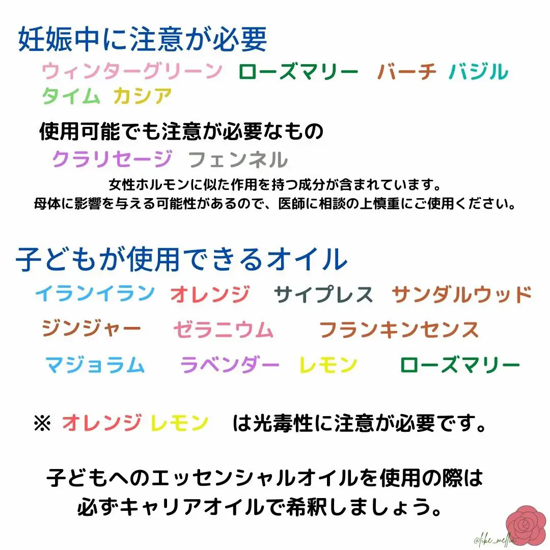 未開封】タイム、サイプレス、バジル、マジョラム-