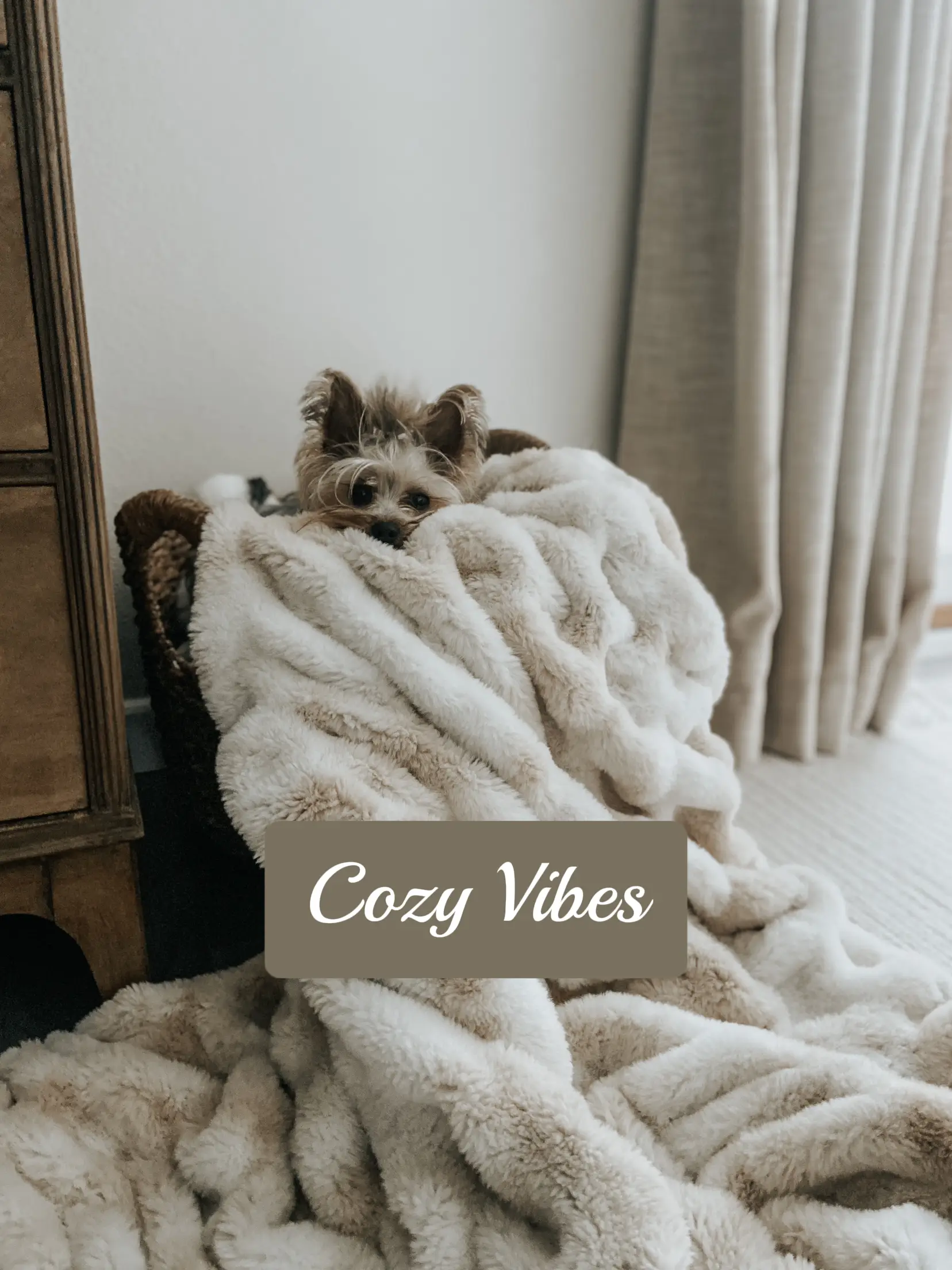 Cozy Vibes 