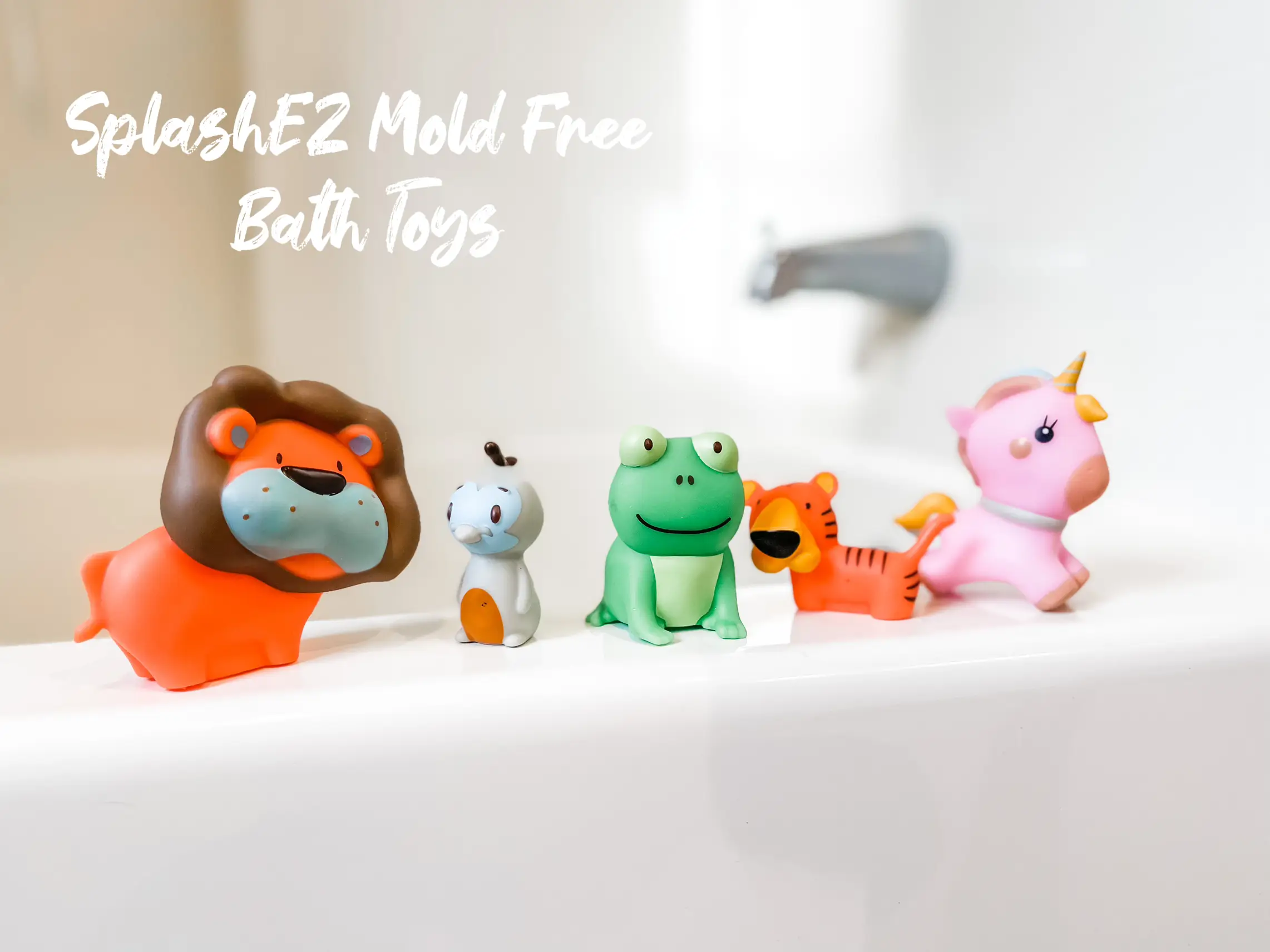 What You Need to Know About Mold & Bath Toys