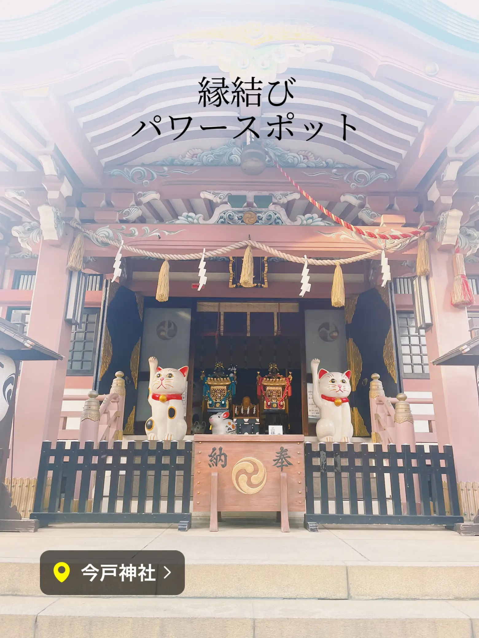 今戸神社/浅草近くの猫だらけの縁結び神社⛩】 | なぎさ|コスパ