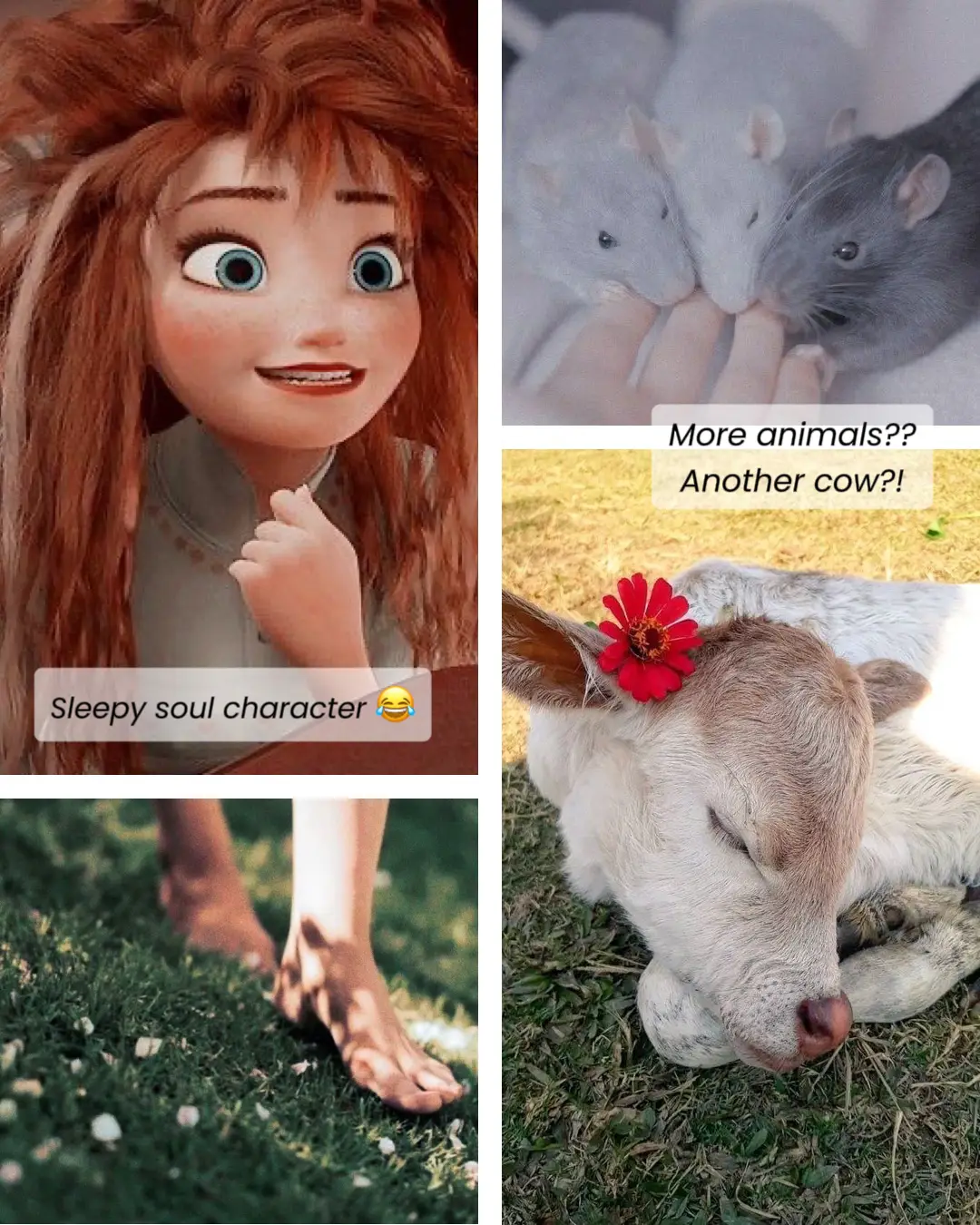 “your Name” Disney Aesthetic Pinterest Search แกลเลอรีที่โพสต์โดย Kelli Godfrey Lemon8 5149