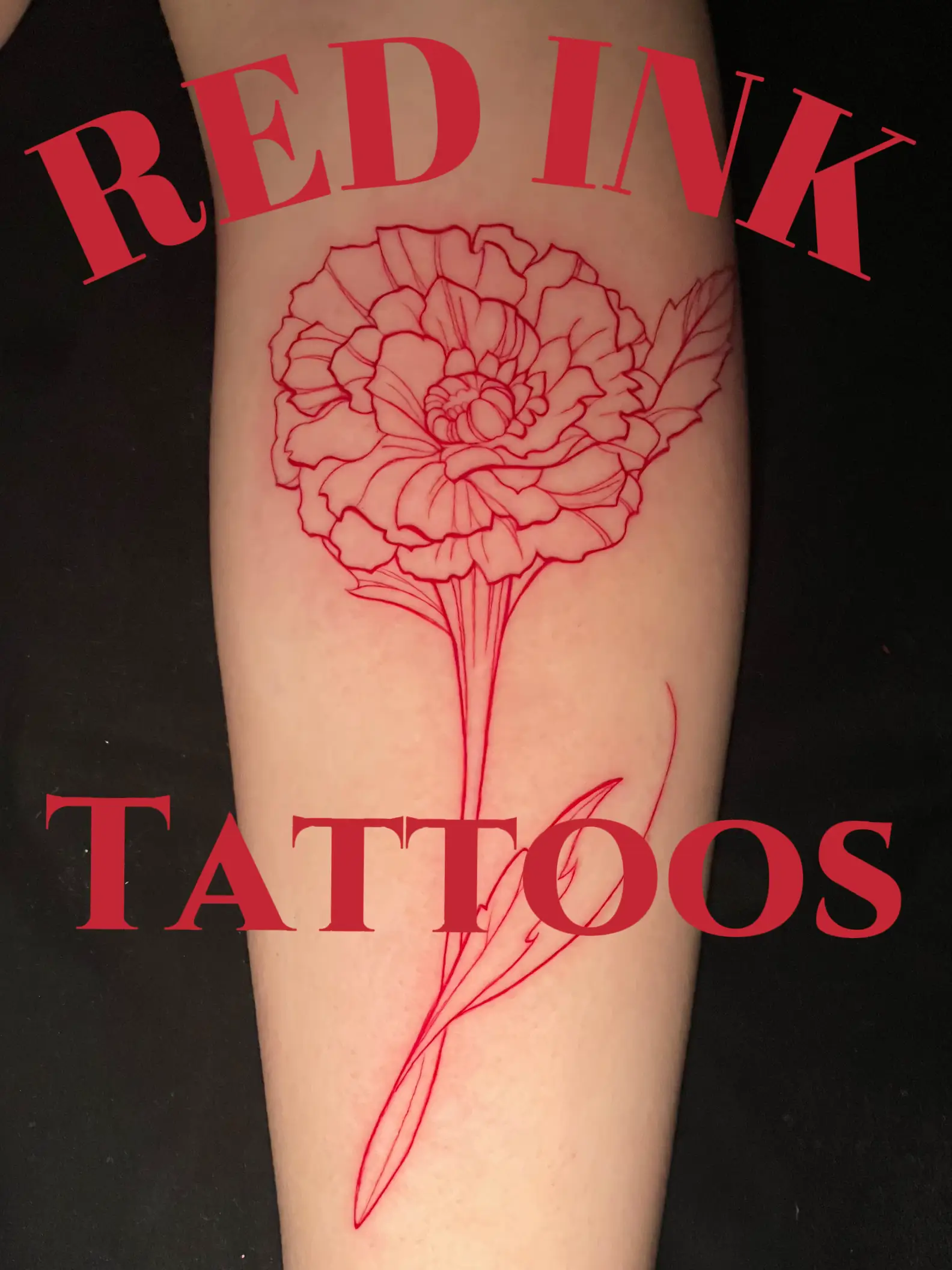 Red Ink Tattoos, Gallery posted by Zoe