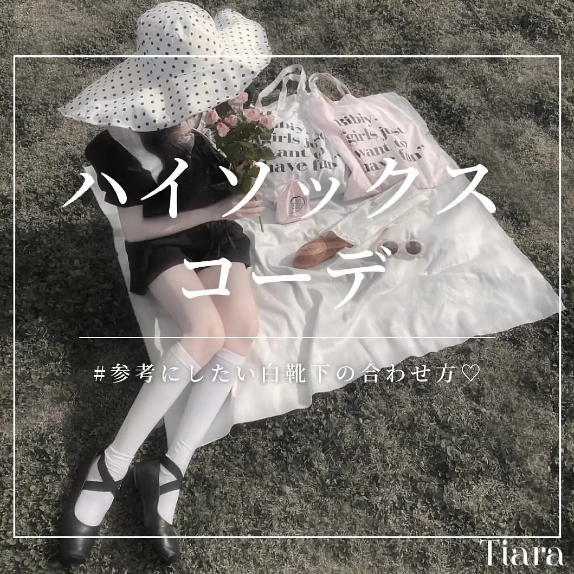 ハイロー配信データ95パーセント にあう