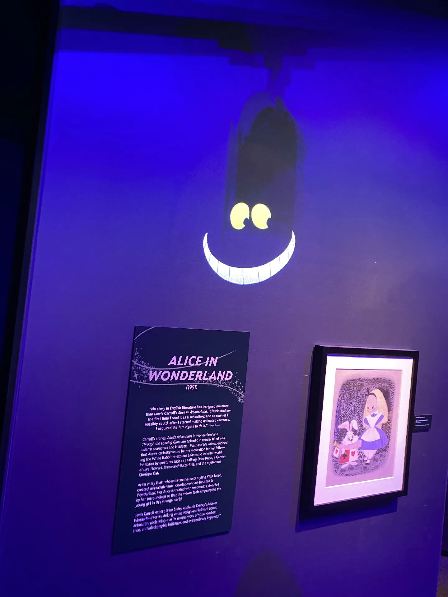 Disney100: The Exhibition @ The Franklin Institute | Gallery posted by  DillysOutfits | Lemon8