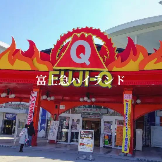超希少】アルパカ 原毛 ベビーアルパカ ホワイト ペルーアレキパ産 70g 