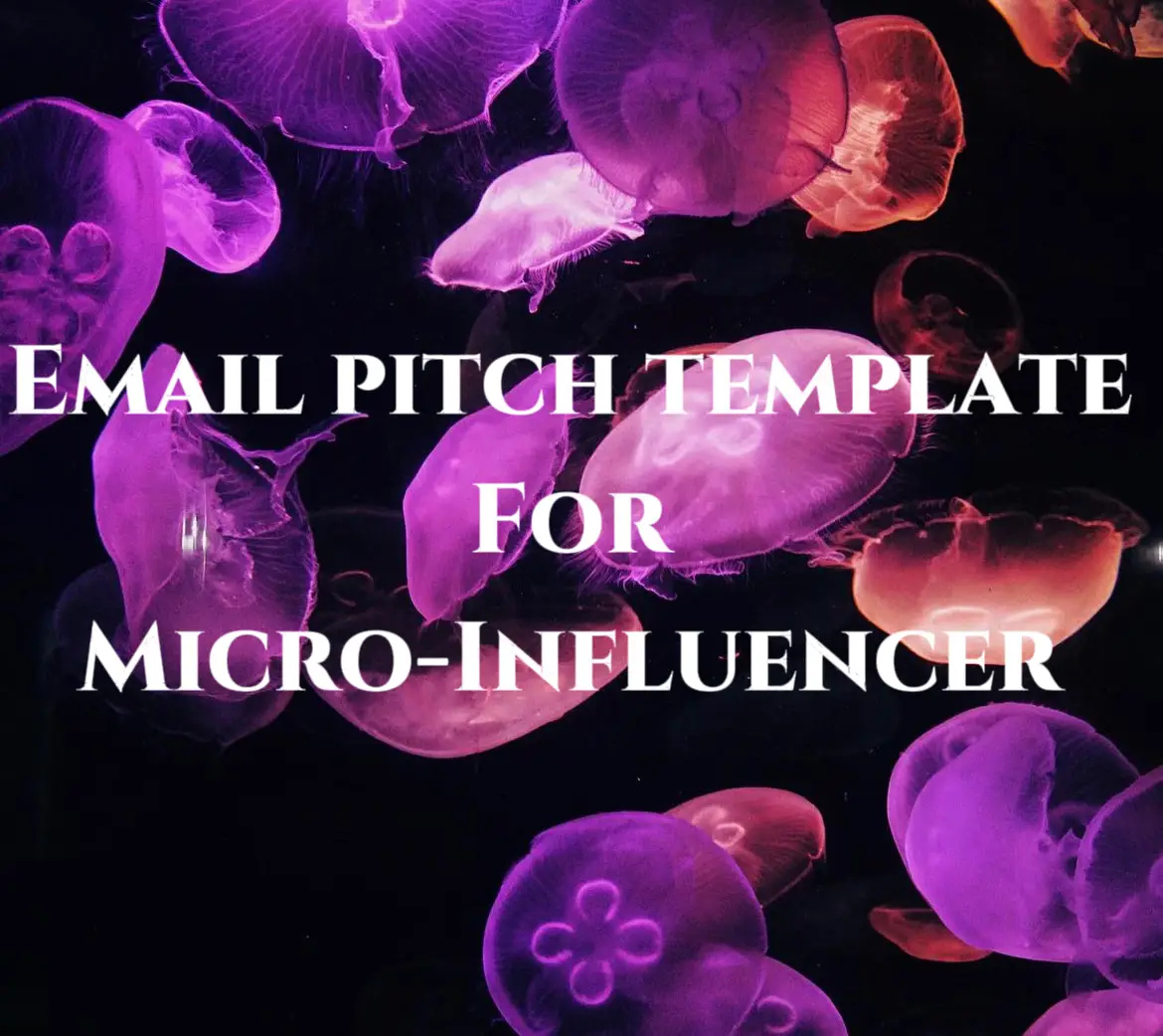 Email Pitch Template to get brand collabs