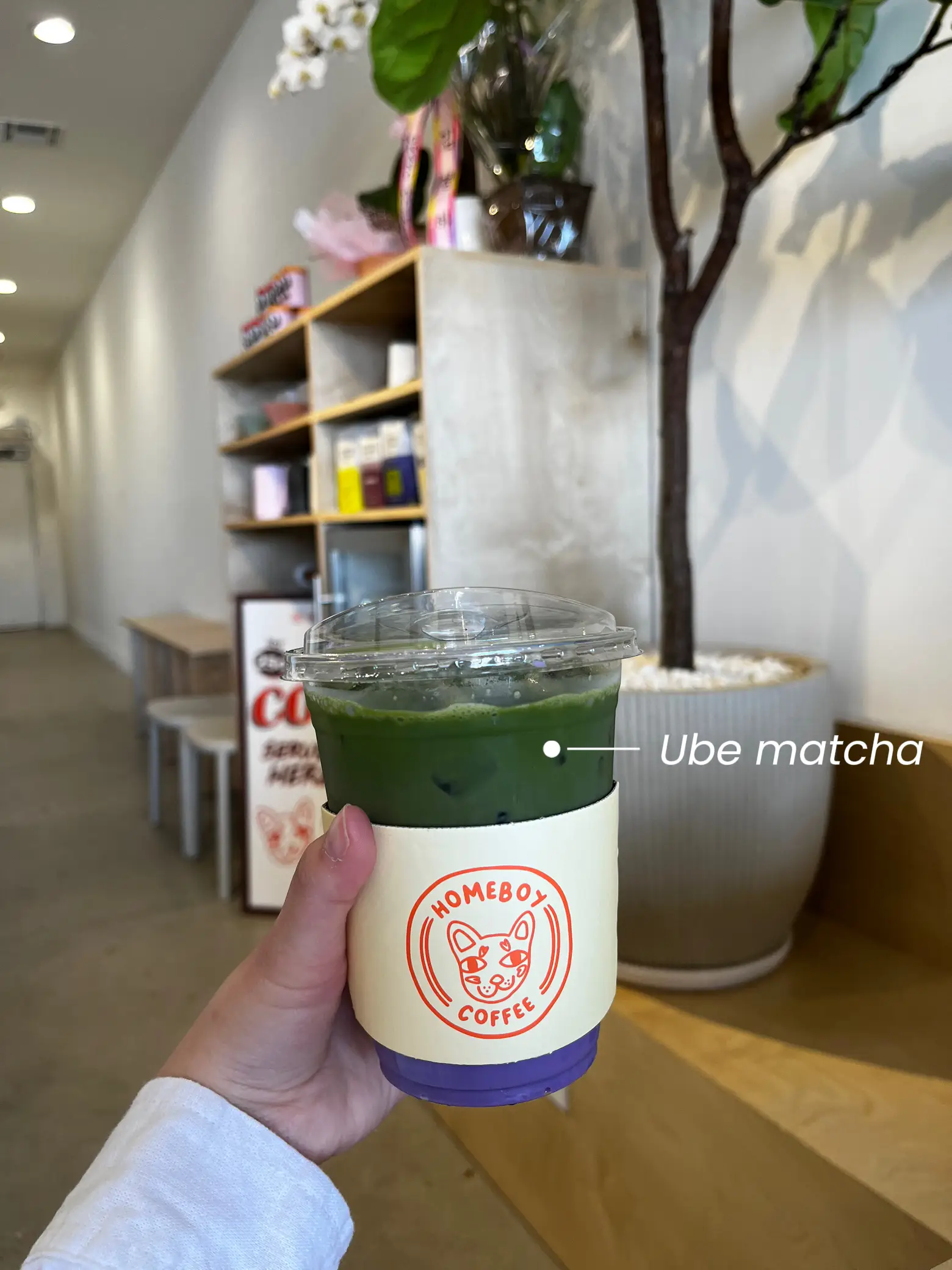 Matcha Set – Onan Coffee & Tea