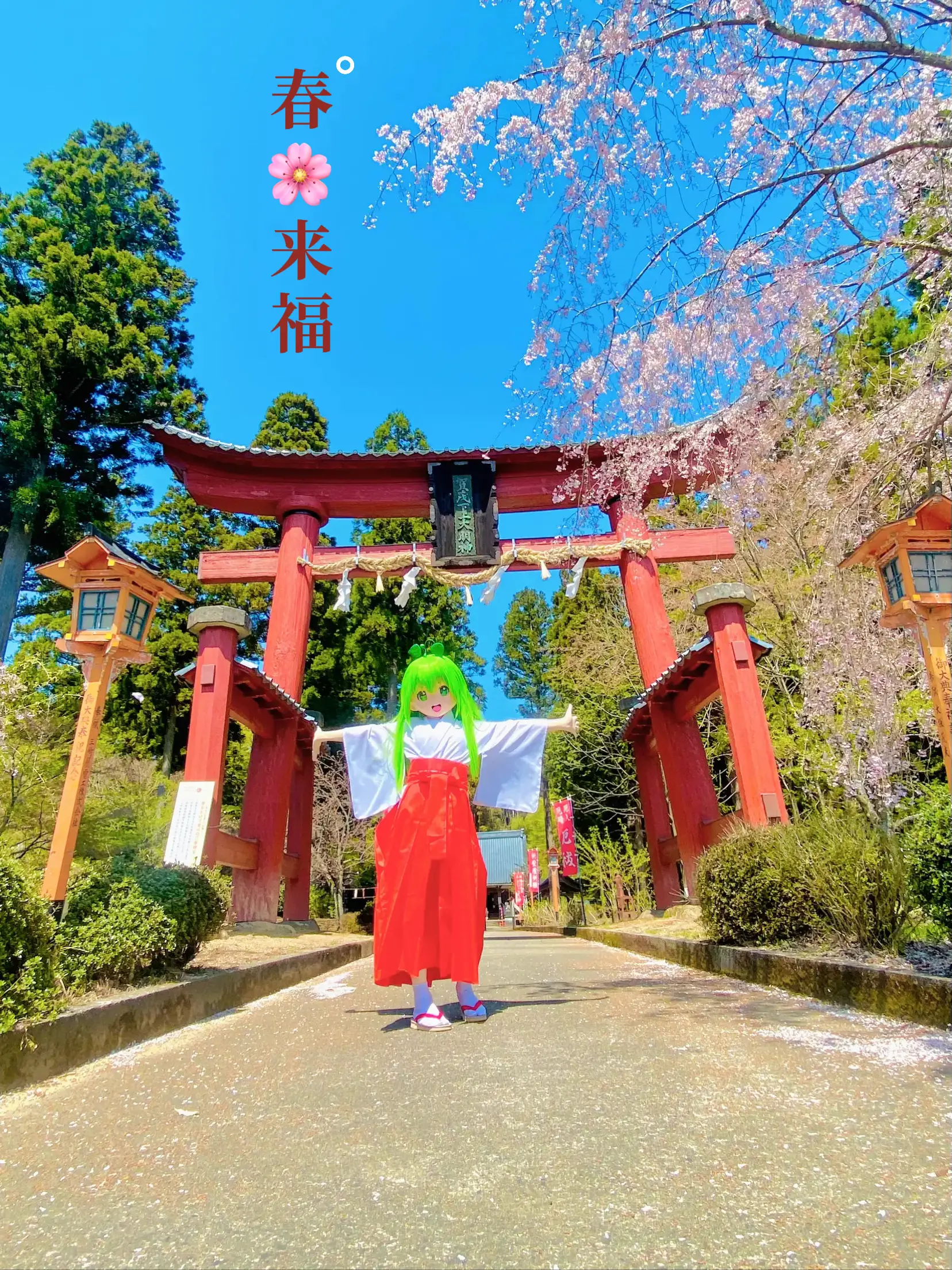 夢を叶える巫女が座す神社⛩賀茂神社⛩ 夢を叶えに🌱双葉夢叶 | 炎のサイクリストが投稿したフォトブック | Lemon8