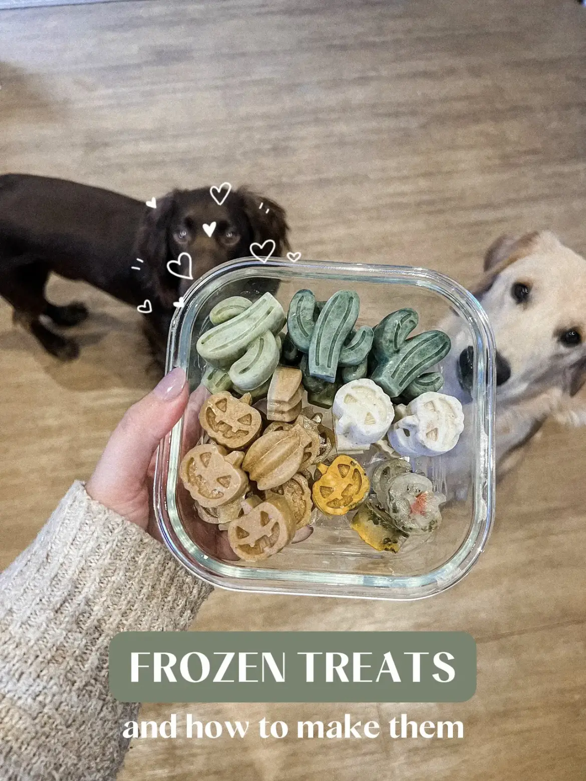 11 Healthy, Natural Treats for Dogs in Your Kitchen · Raleigh Vet