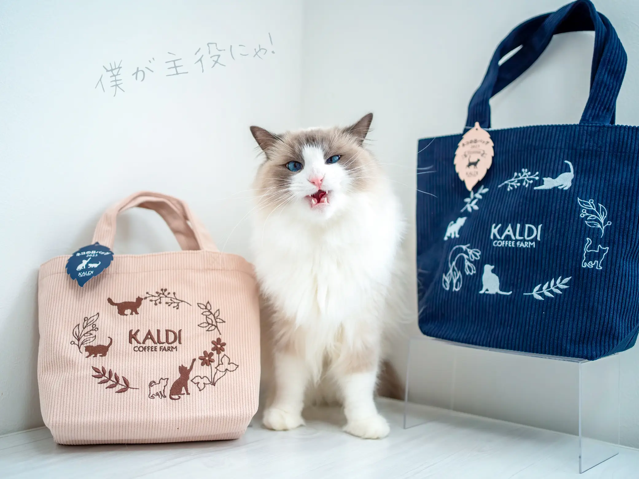 KALDI カルディ 猫の日バッグ ネコの日バッグ プレミアム セール品