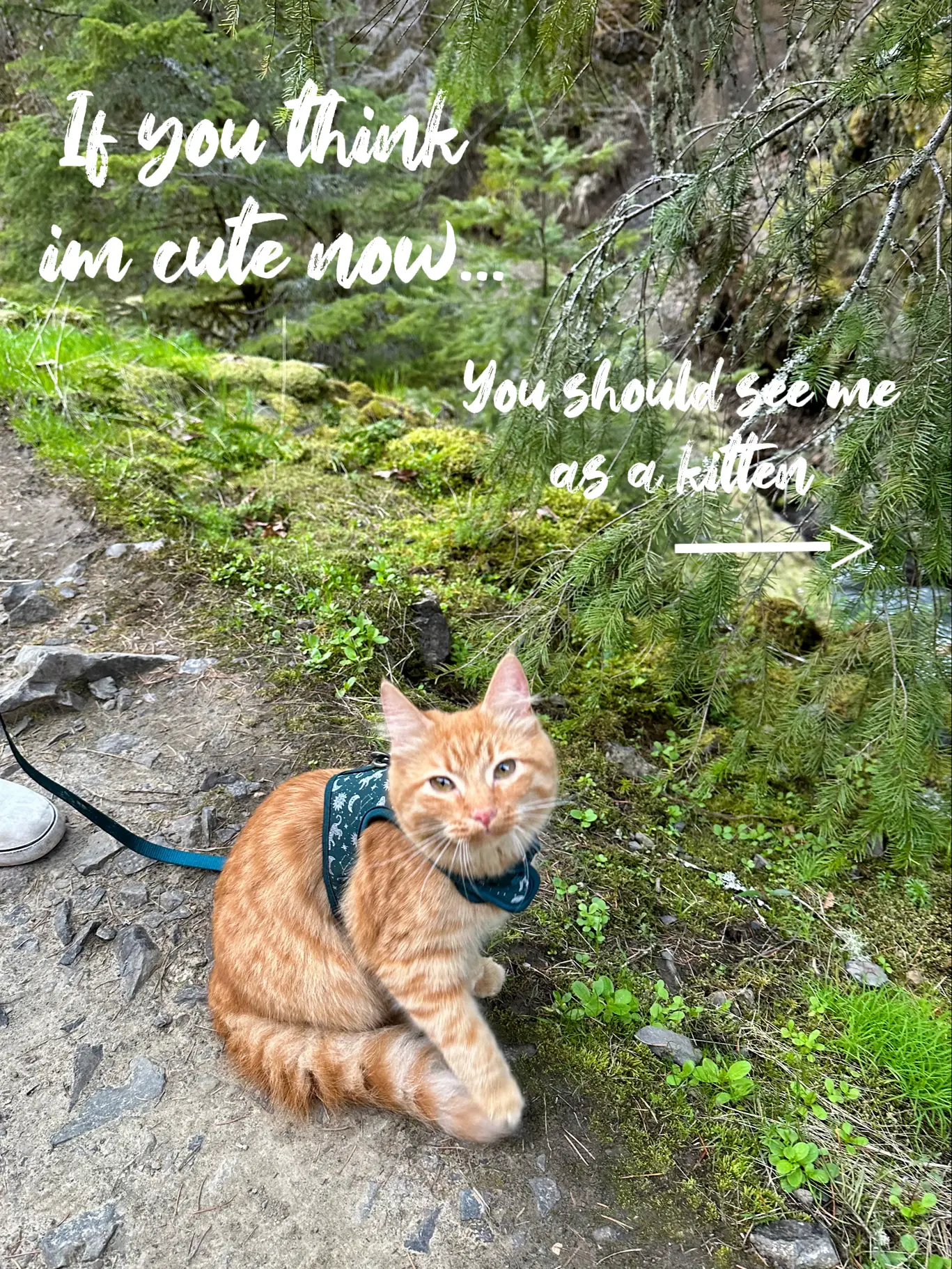 latest hike vs. first hike Gallery posted by Pumpkin Lemon8