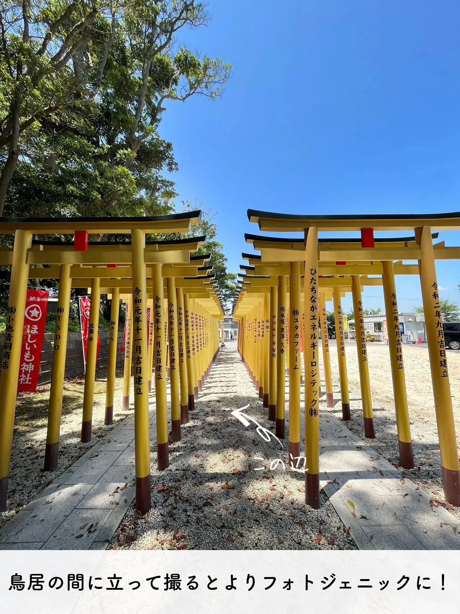 茨城】黄金の鳥居！ホシイモノが手に入る神社？ | MAKOトラベル✈︎が投稿したフォトブック | Lemon8