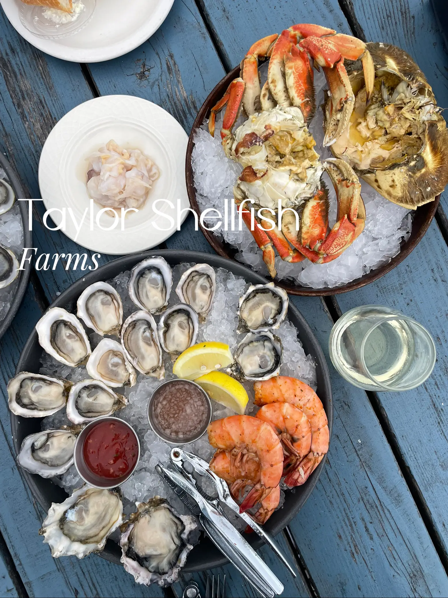 Chef Xinh's Pan Fried Oysters  Taylor Shellfish Farms, Seattle WA