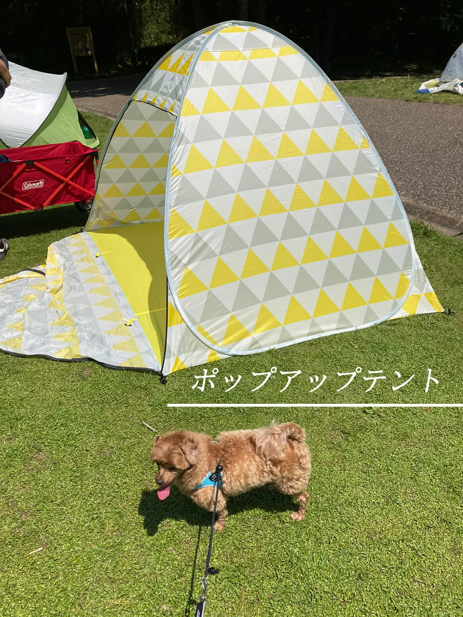 公式】自宅でととのう おうちDEサウナ サウナテント 一人用 家 サウナ