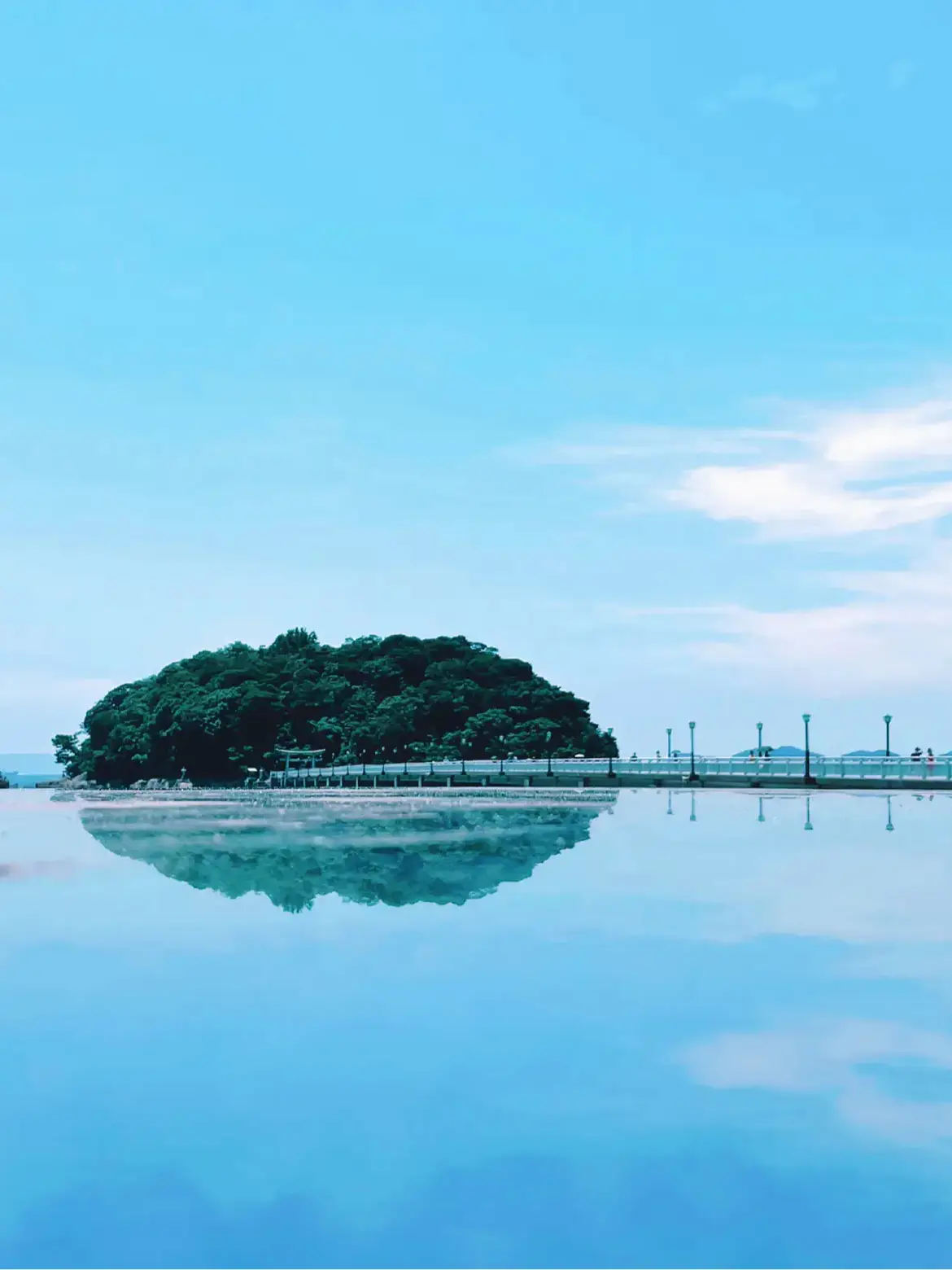 【絶景】島全体が天然記念物！パワースポットの竹島🏝 | aynaa｜旅とグルメ👠が投稿したフォトブック | Lemon8
