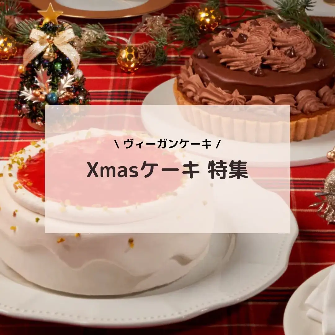 ◎マザーガーデン◎新品 クリスマスケーキ - おもちゃ