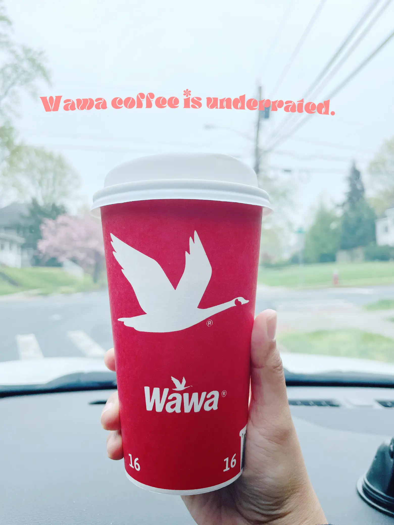 Wawa Coffee for 1 (Plastic Travel Mug)