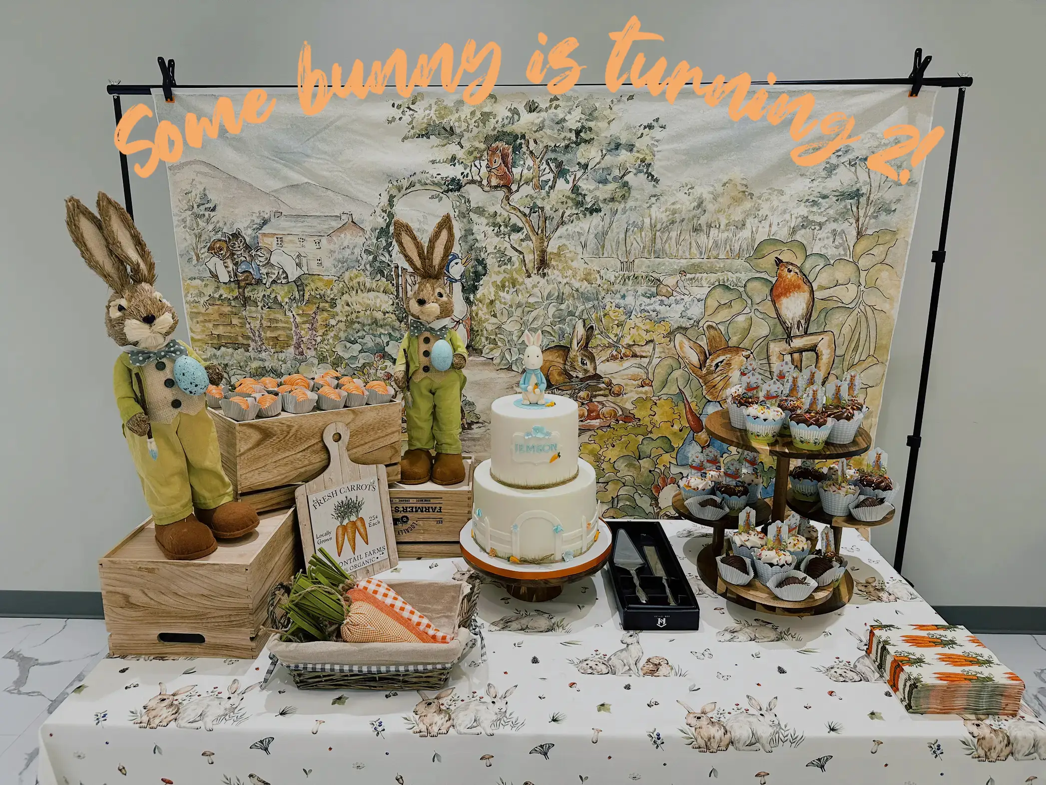 Peter Rabbit Baby Shower 🐰🥕✨