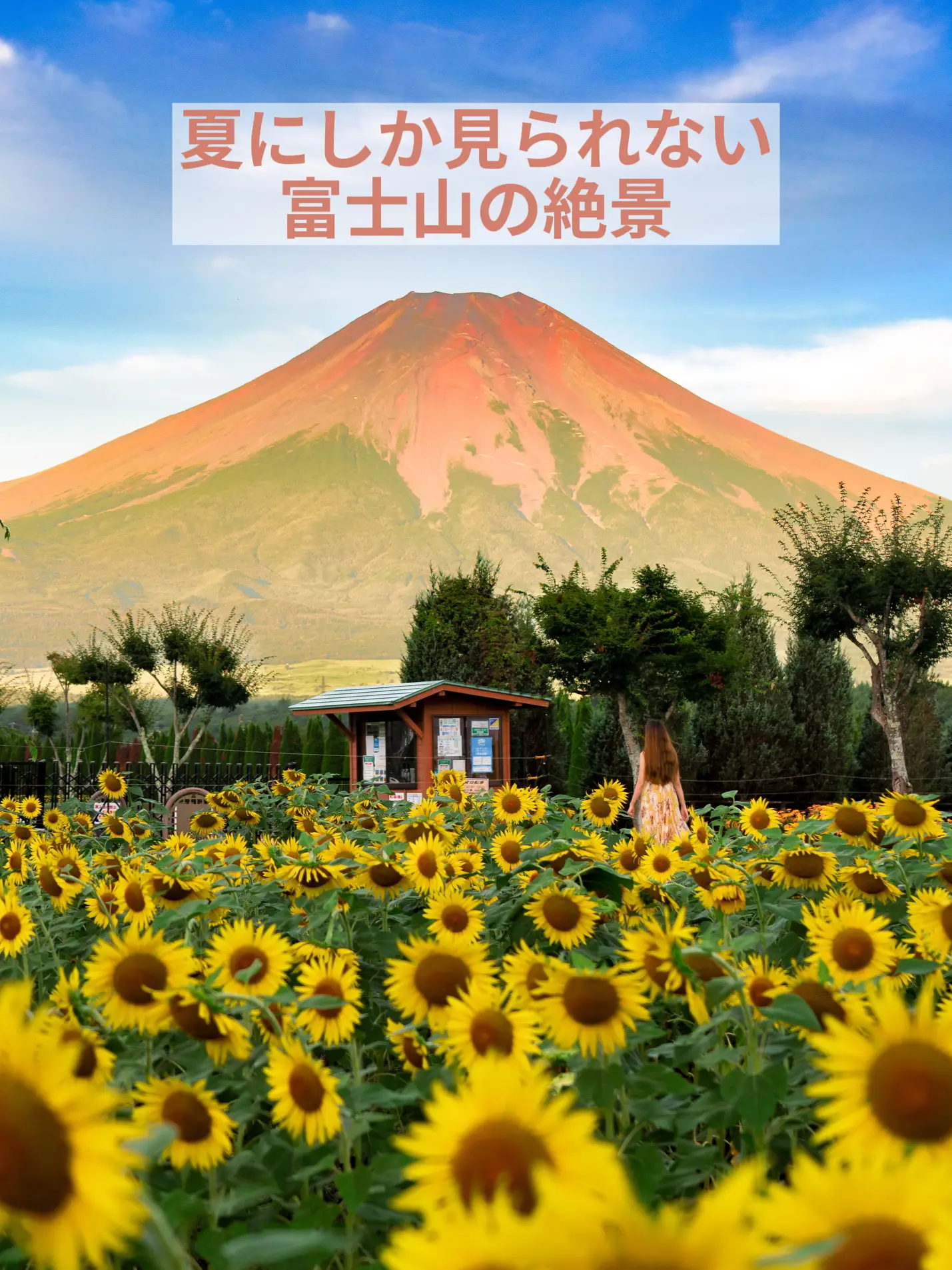 夏限定！美しすぎる赤富士 | Kyoko1903が投稿したフォトブック | Lemon8