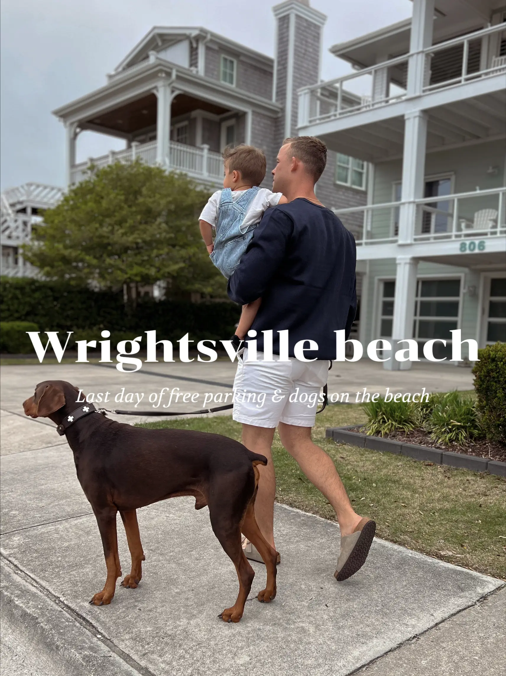Pet Friendly Beaches At Wrightsville