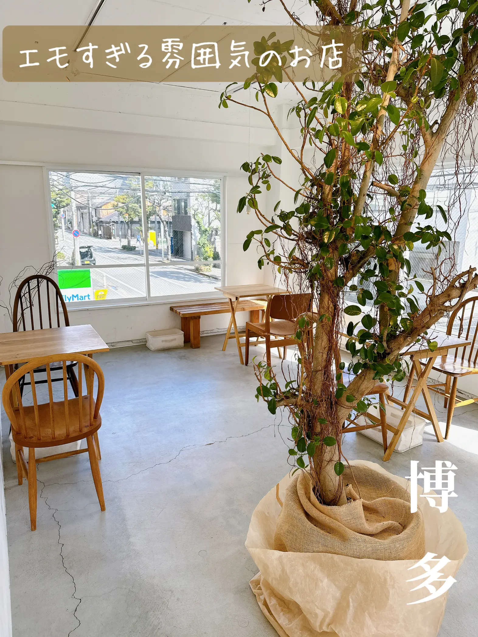 要問合せ♥️可愛いマカロンピンク♥️レトロ喫茶風 モダン 椅子